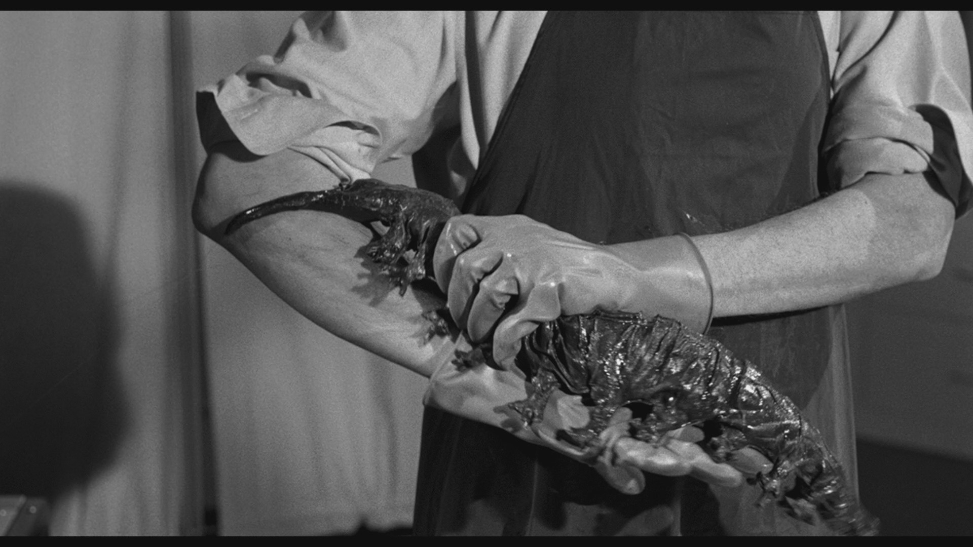 The Tingler (1959) —  shot,  lighting