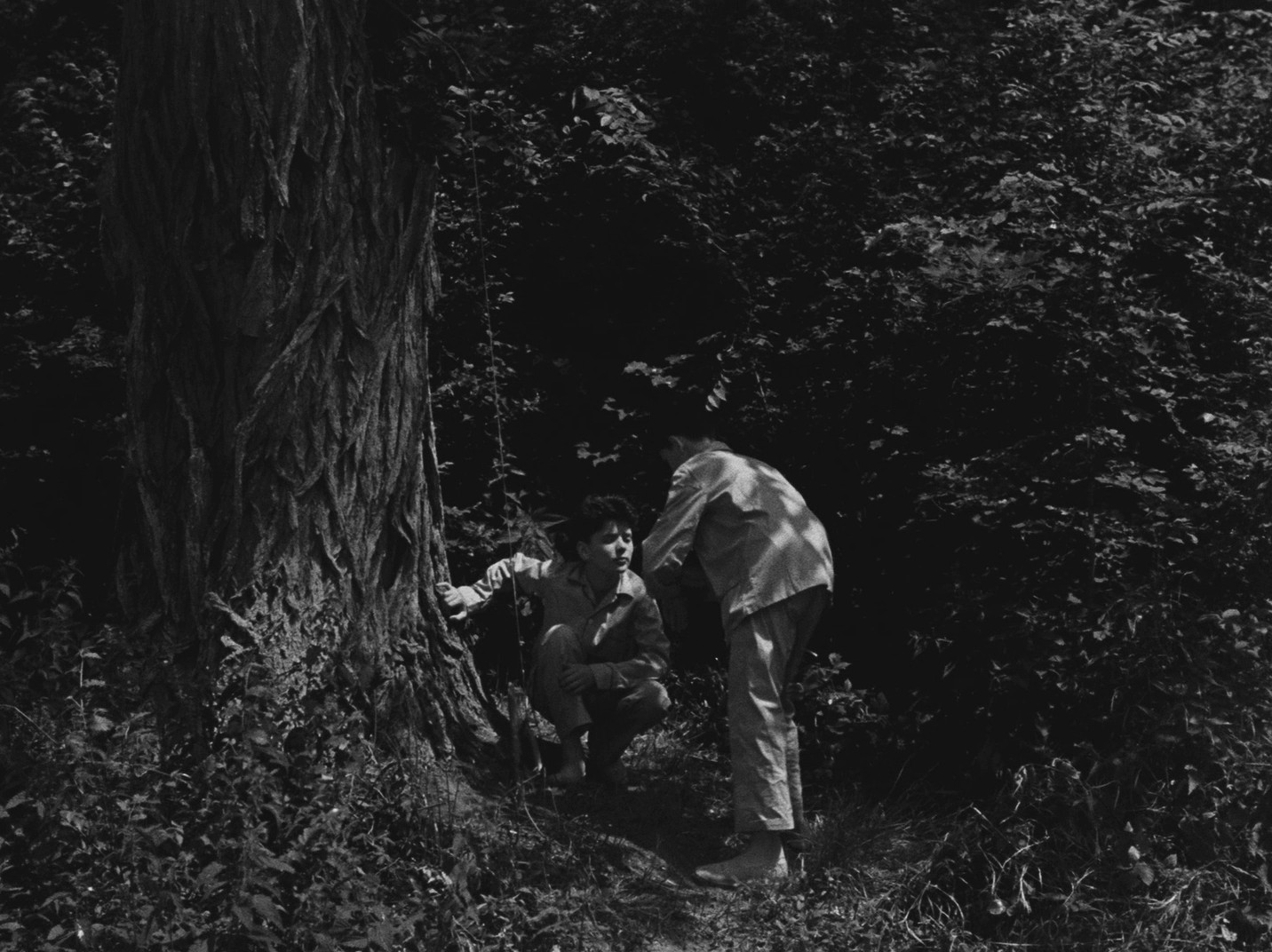 Les aristocrates (1955) —  shot,  lighting