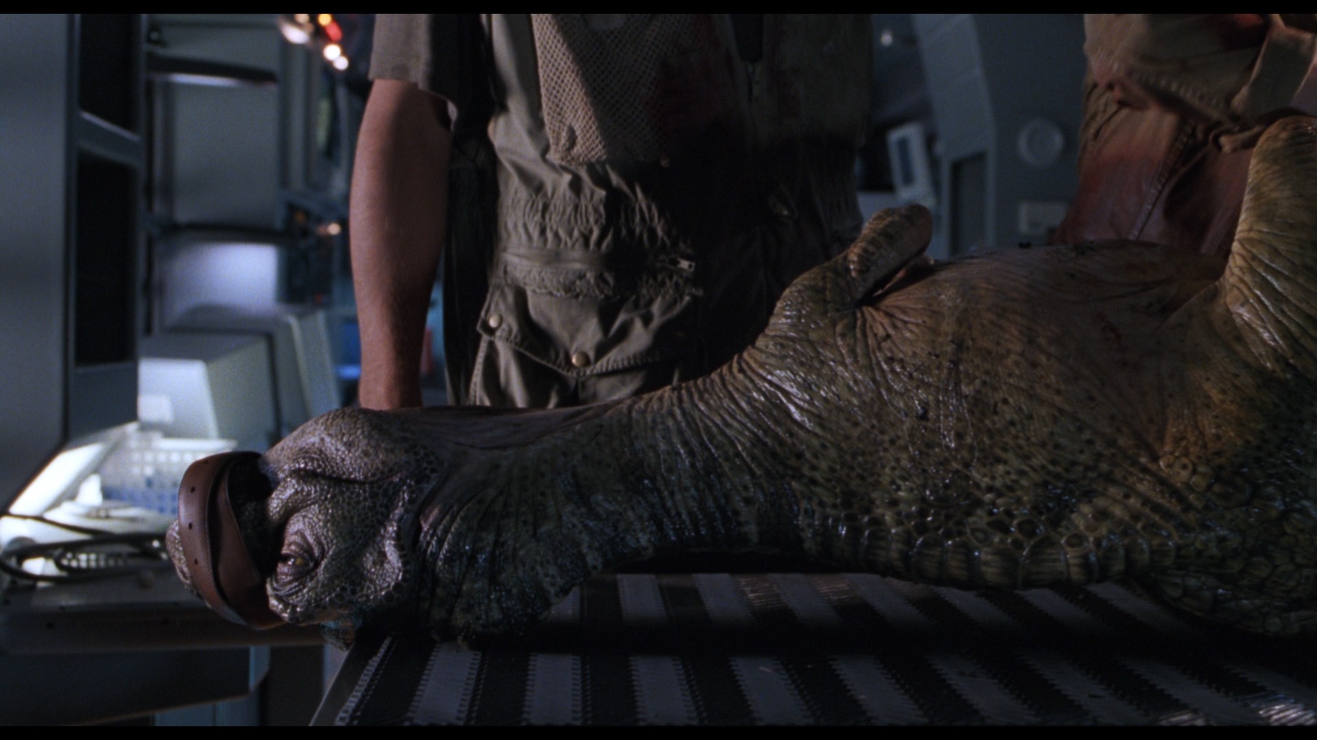The Lost World: Jurassic Park (1997) —  shot,  lighting