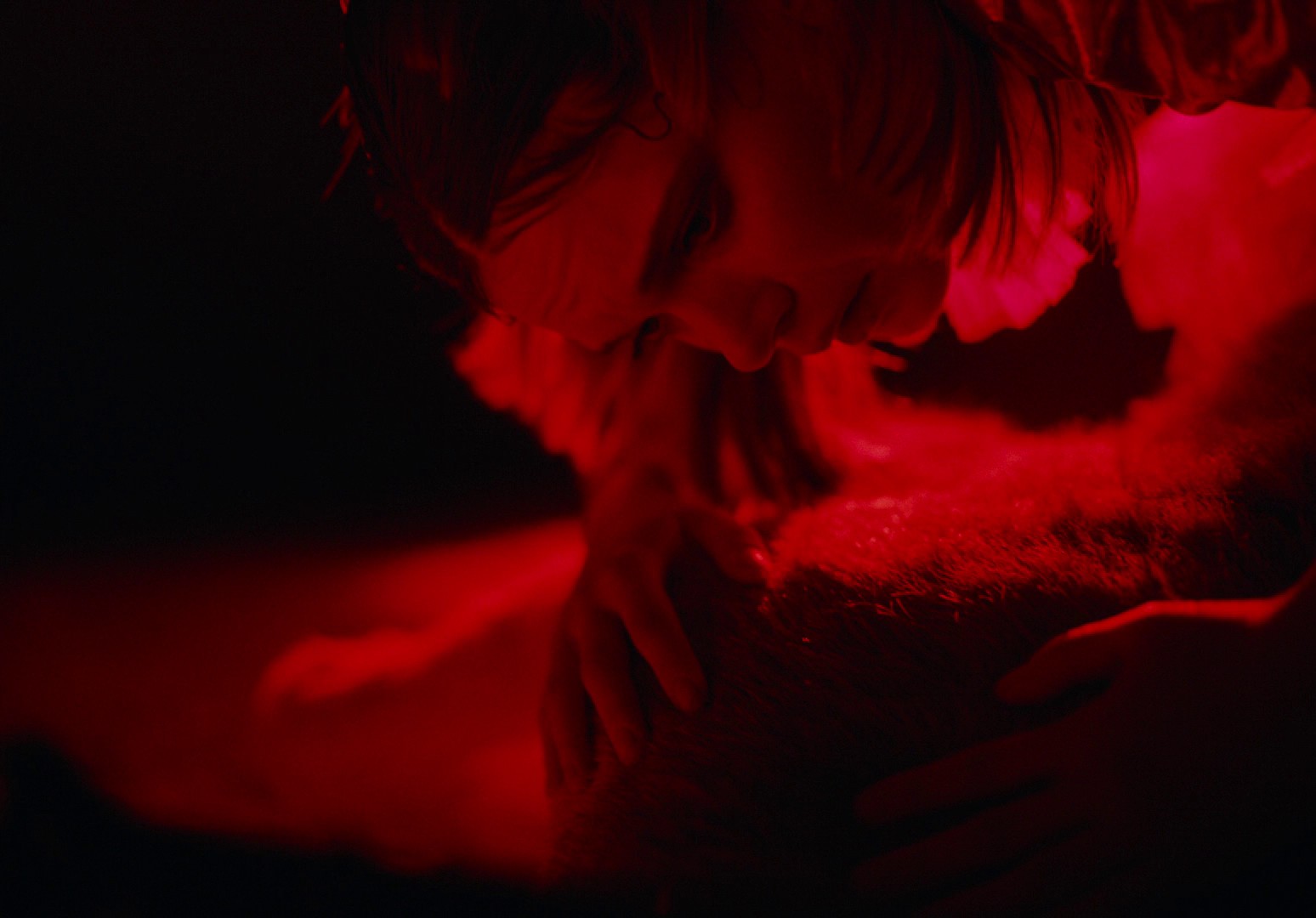 EO (2022) —  shot,  lighting