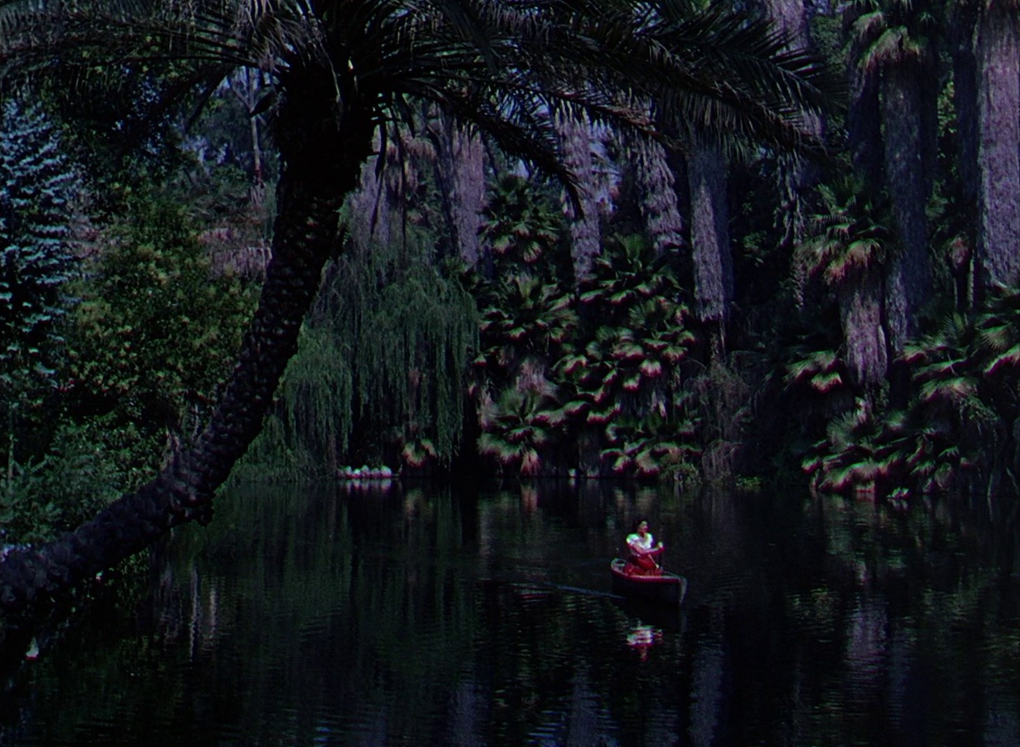 Seminole (1953) —  shot,  lighting