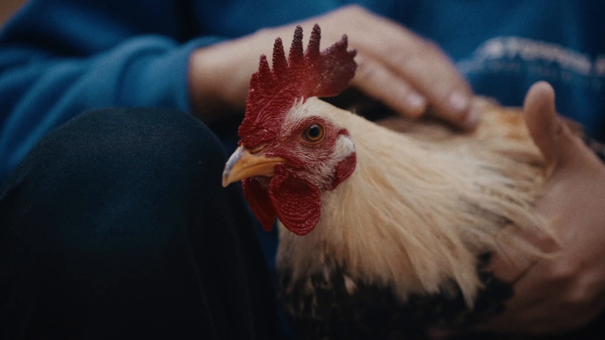 Mi Superona (2026) —  shot,  lighting