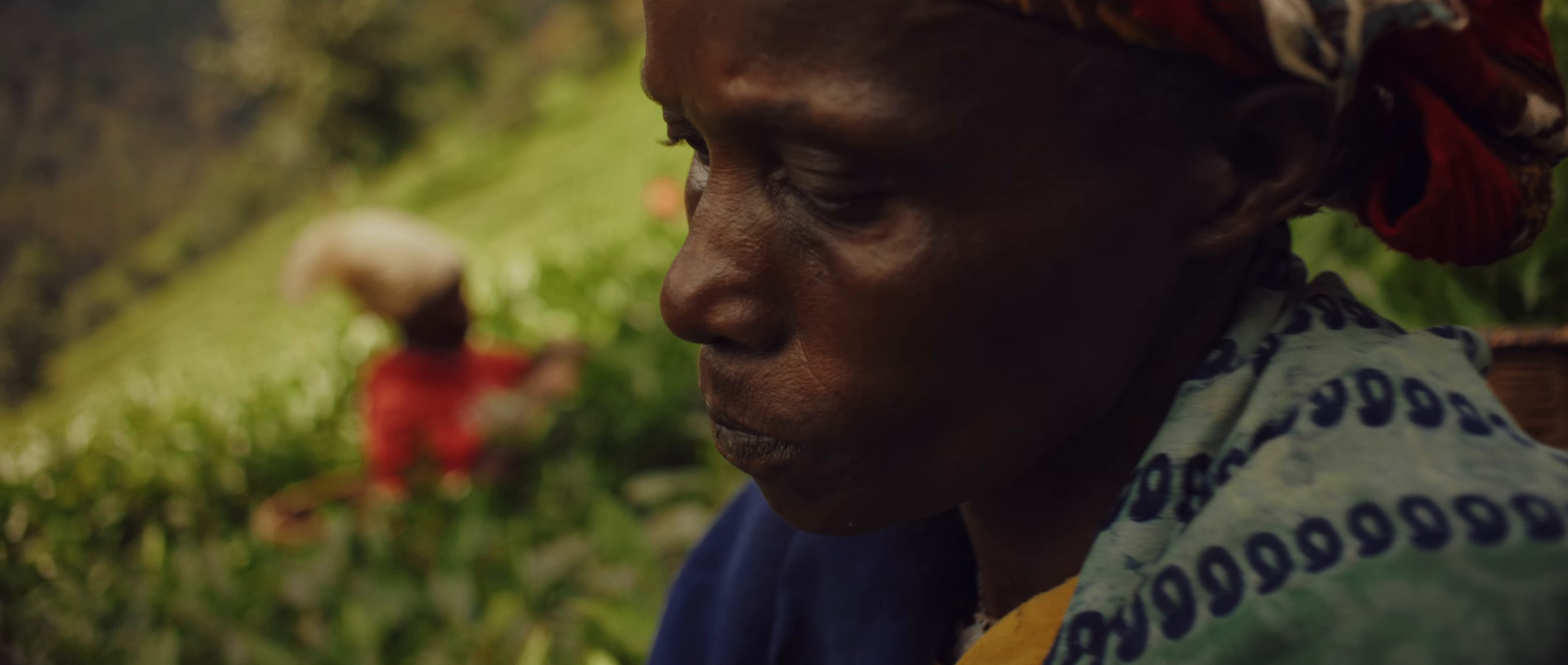 Farafina Mousso (2024) —  shot,  lighting