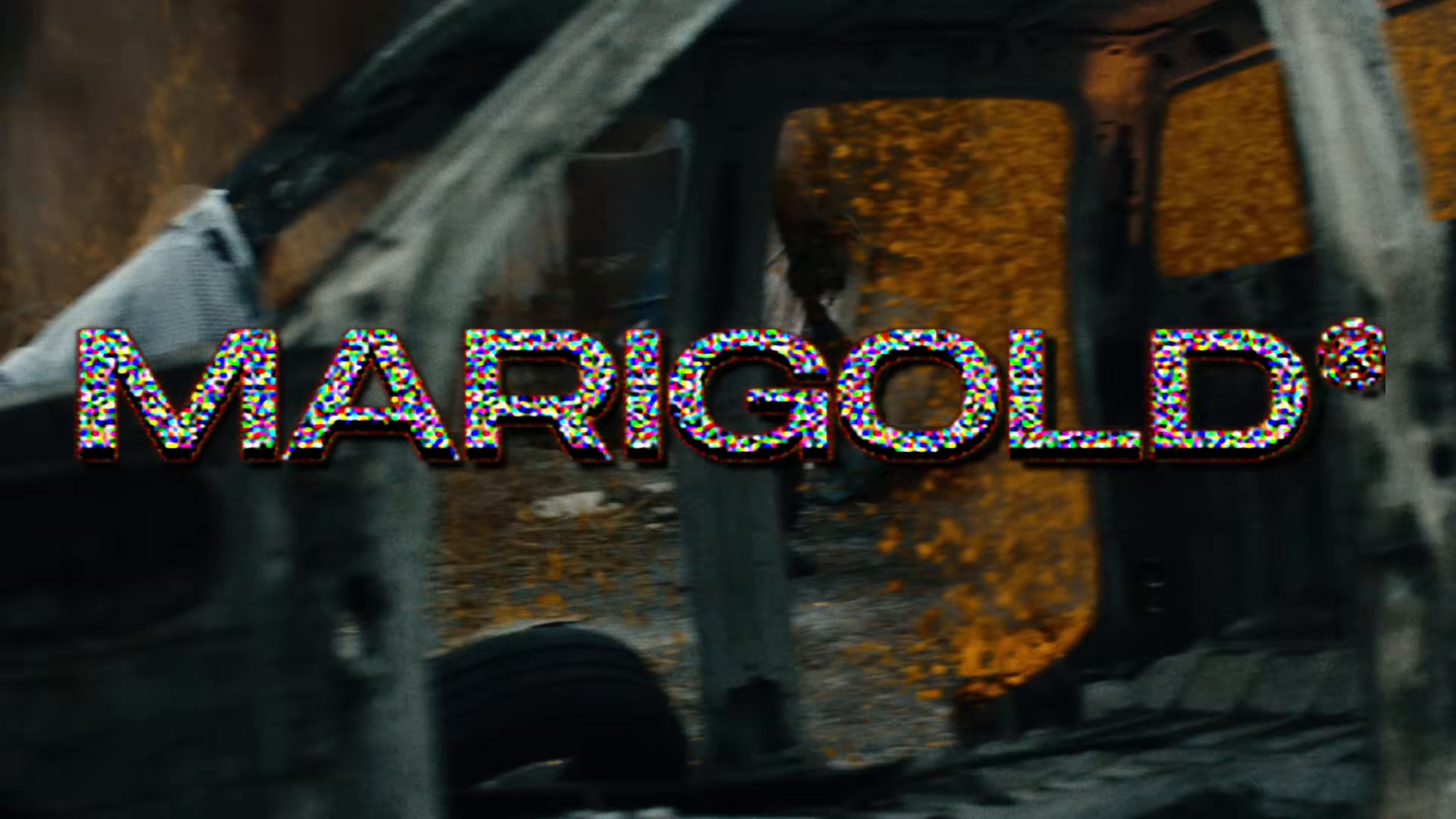 MARIGOLD (2024) —  shot,  lighting