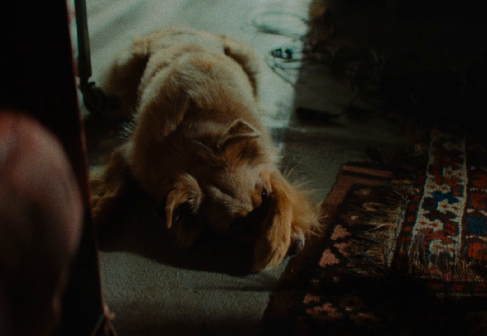 Radeberger -  Cheers to Passion (2024) —  shot,  lighting