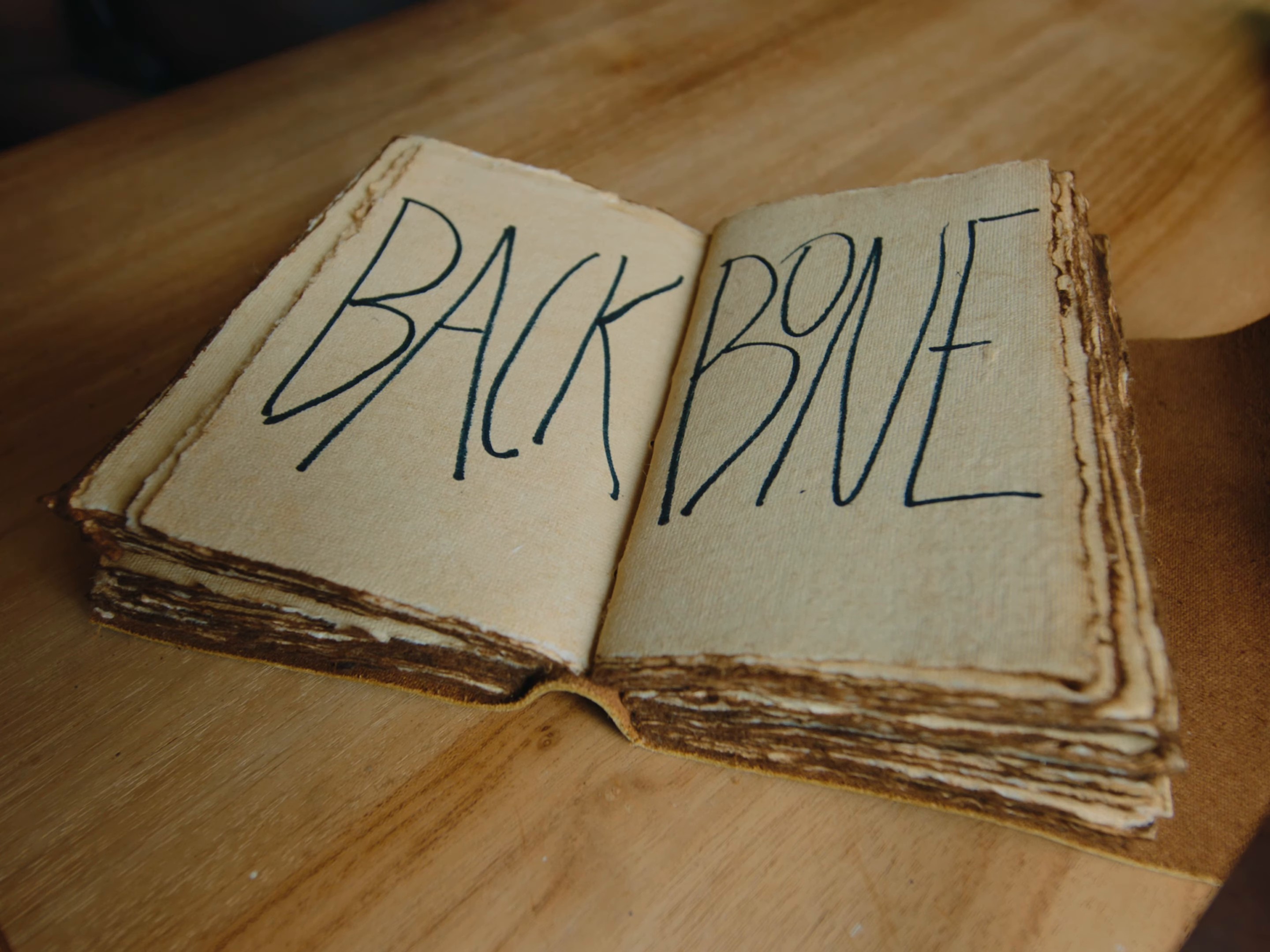 BACK BONE (2024) —  shot,  lighting