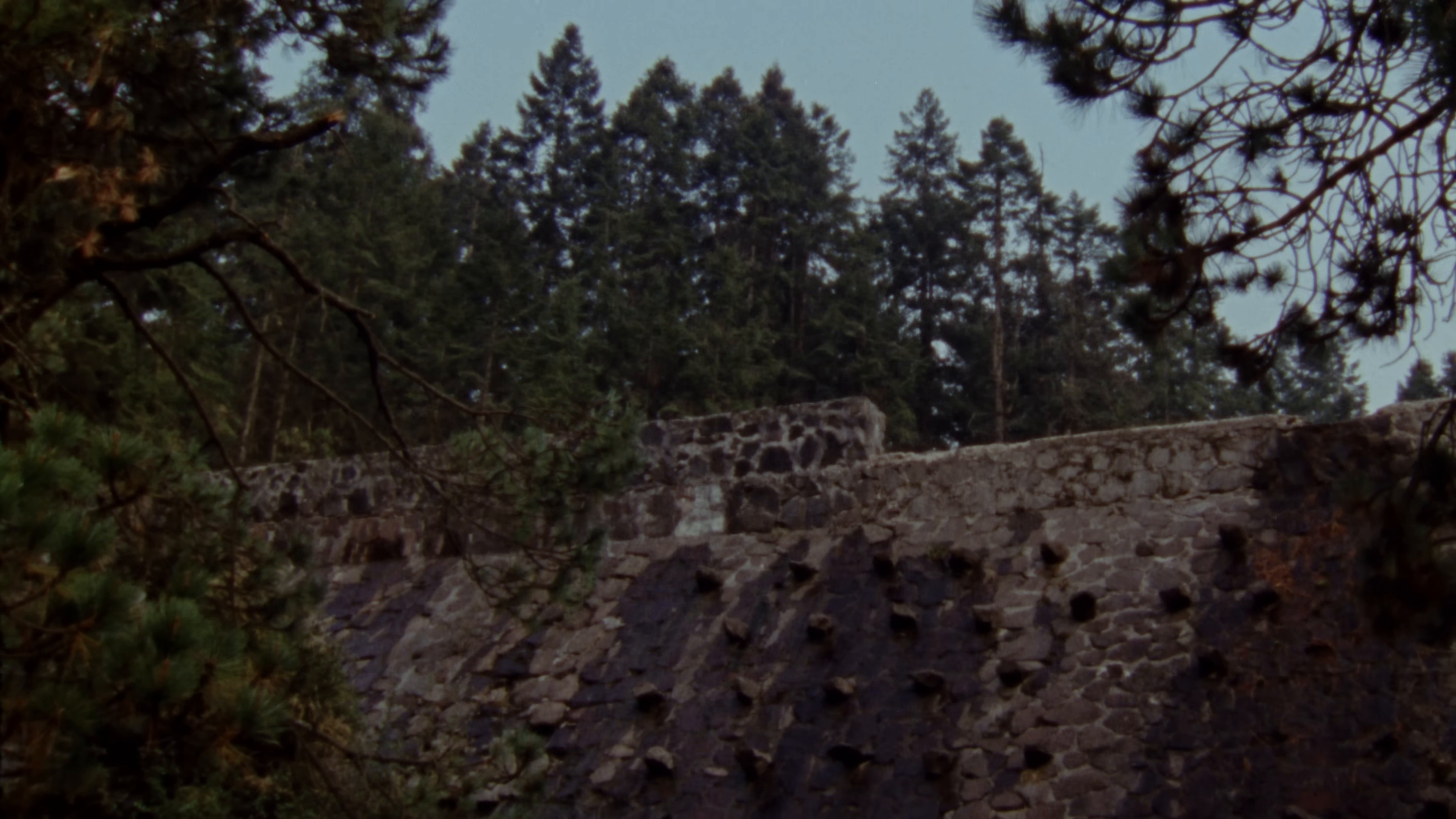 La Nube en el Jardin: nadie va a pensar en ti mejor que yo (2024) —  shot,  lighting