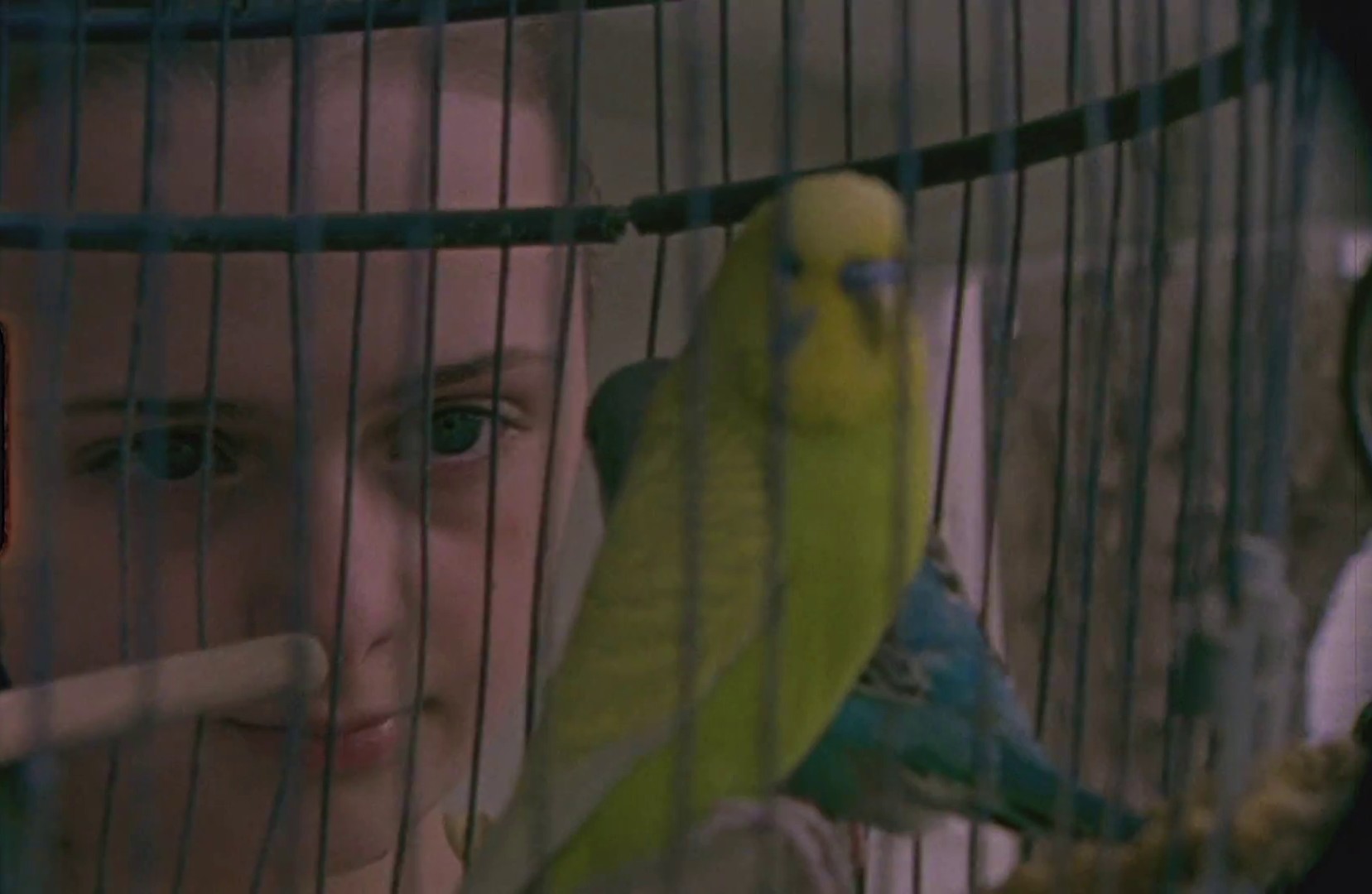 Wings (2013) —  shot,  lighting