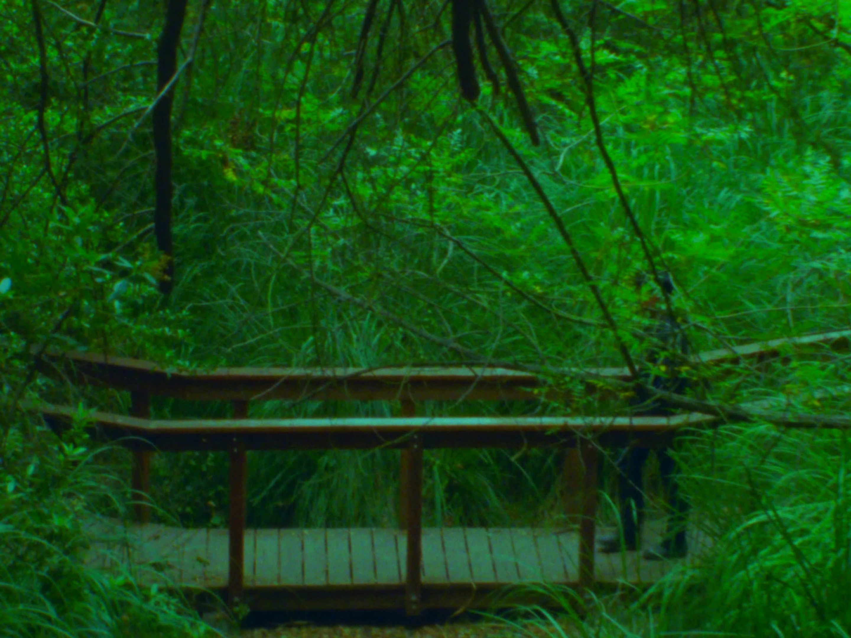 Flirt With Death (2023) —  shot,  lighting