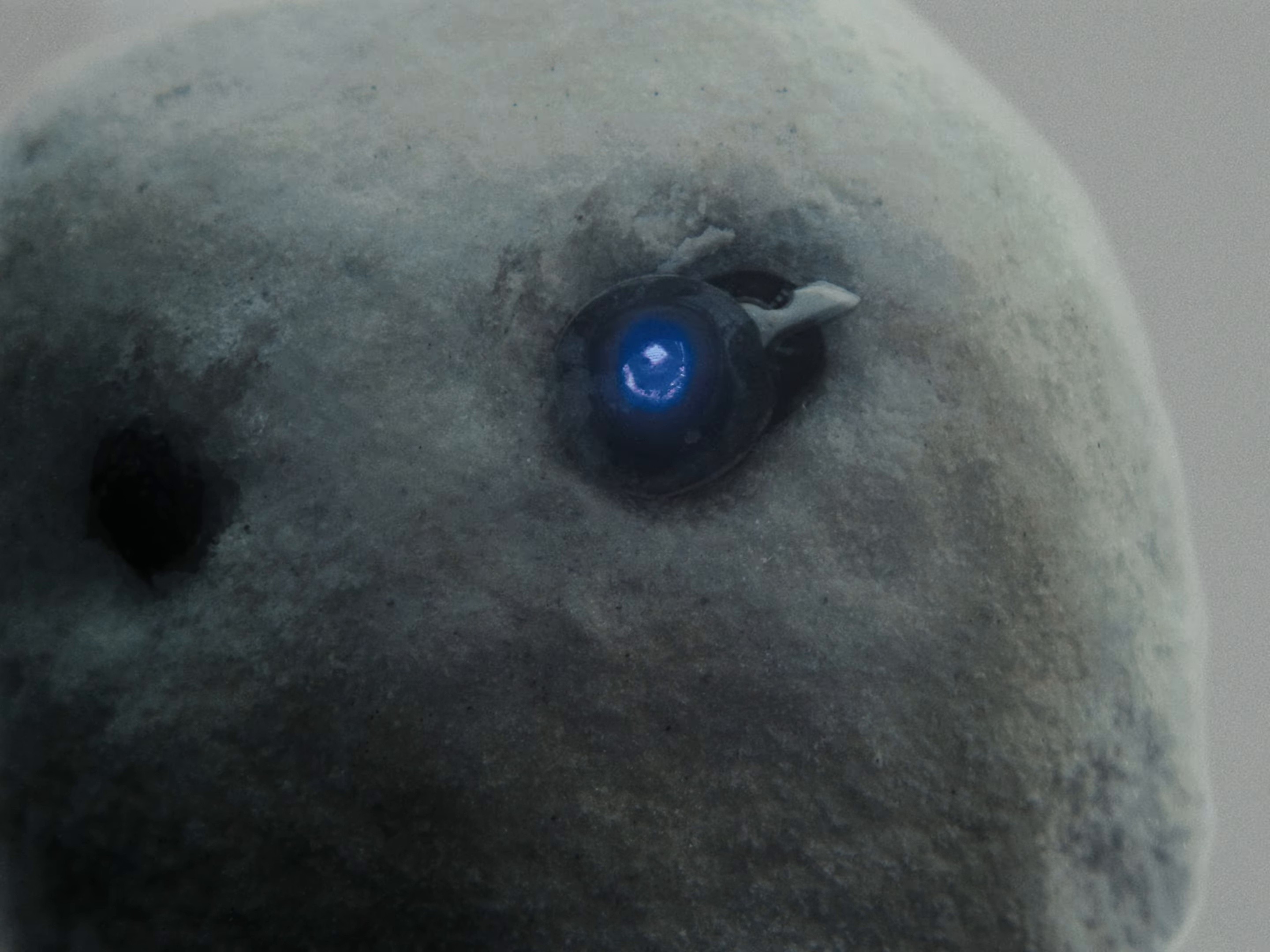 Colder (2026) —  shot,  lighting