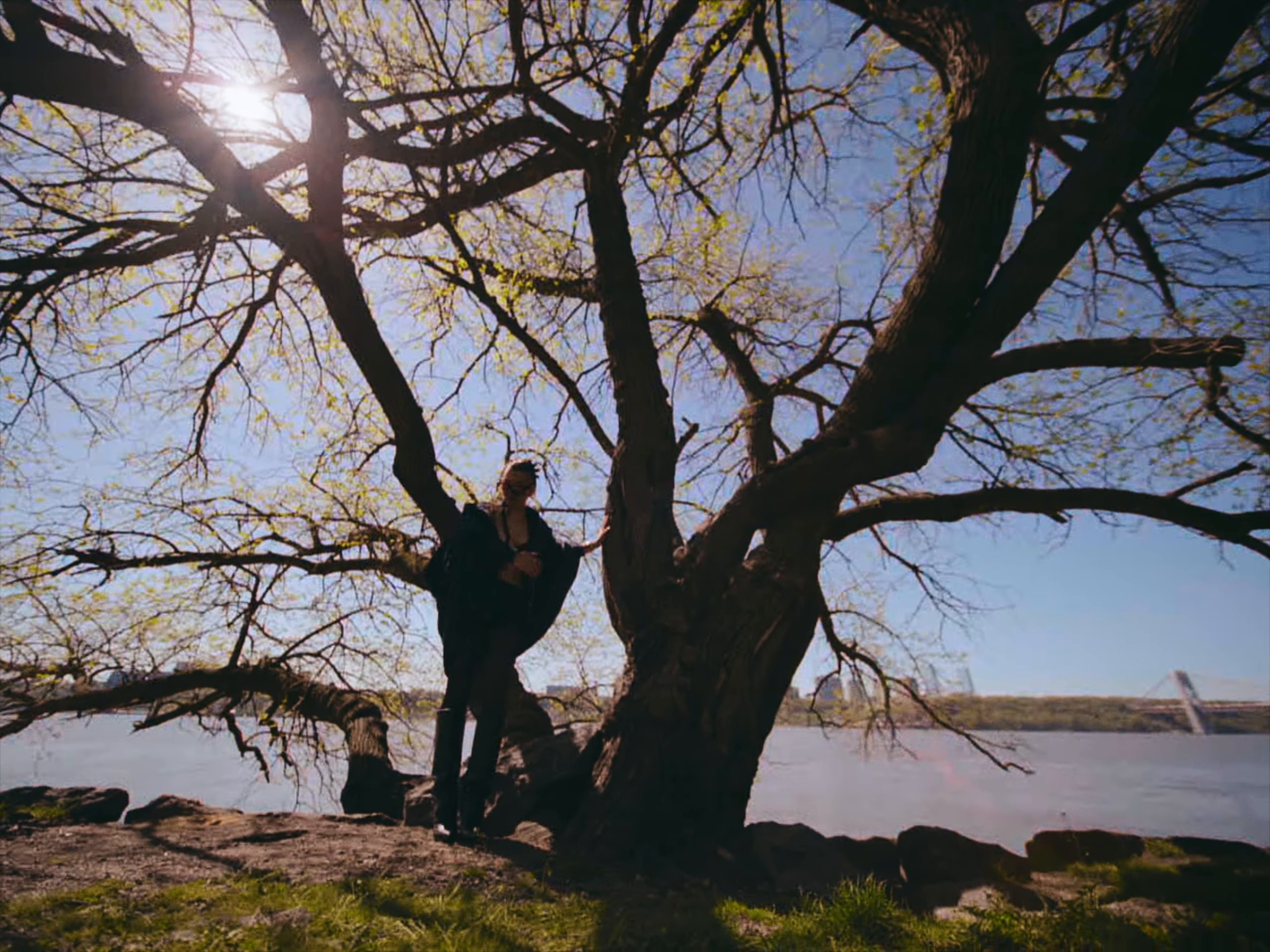 UBER BLACK (2025) —  shot,  lighting