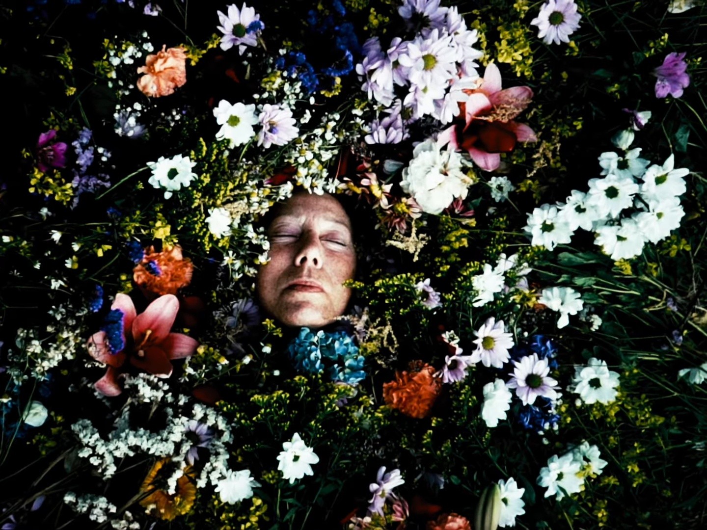 I Can Do Anything (2025) —  shot,  lighting