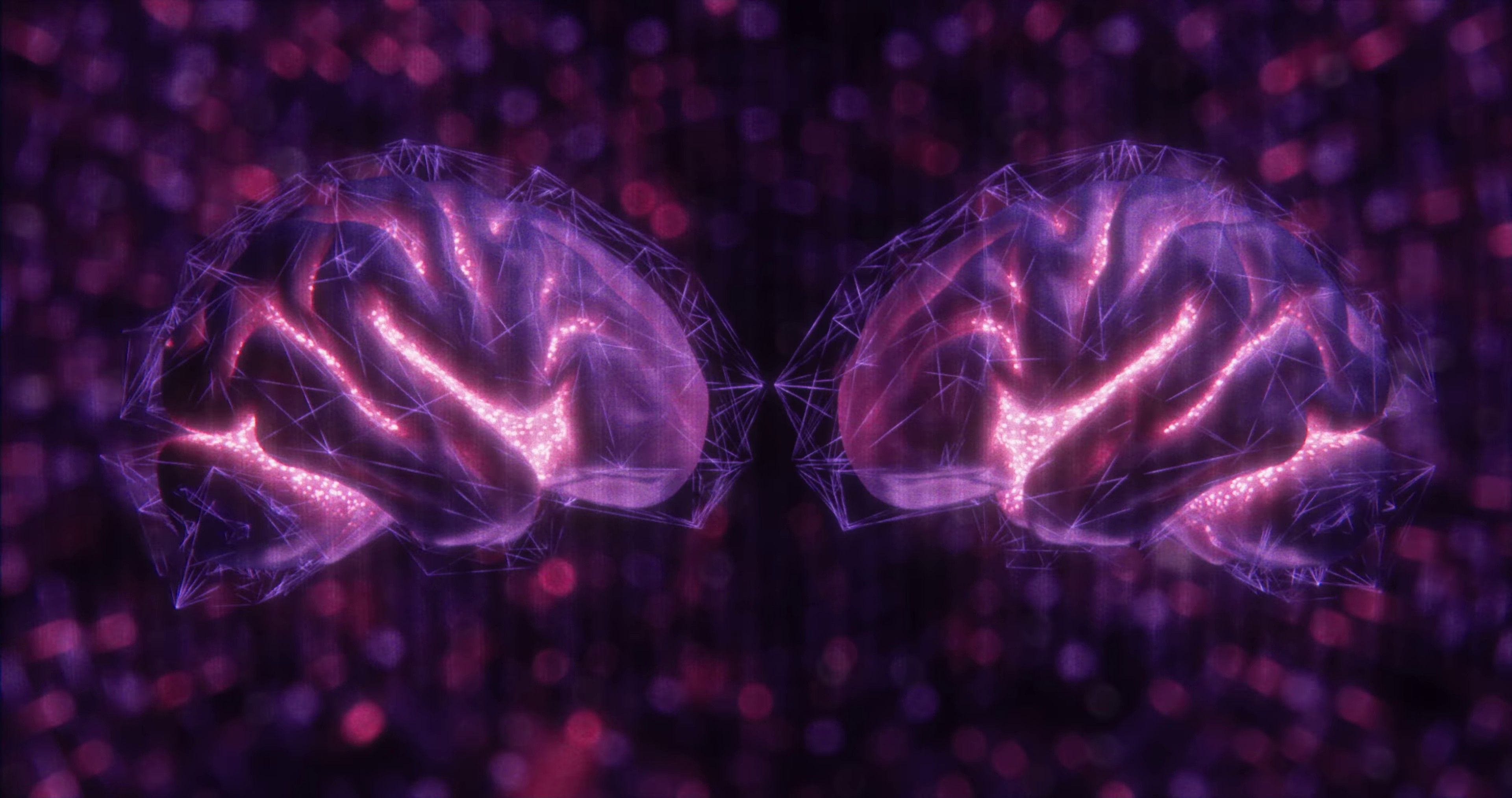 offline (2024) —  shot,  lighting