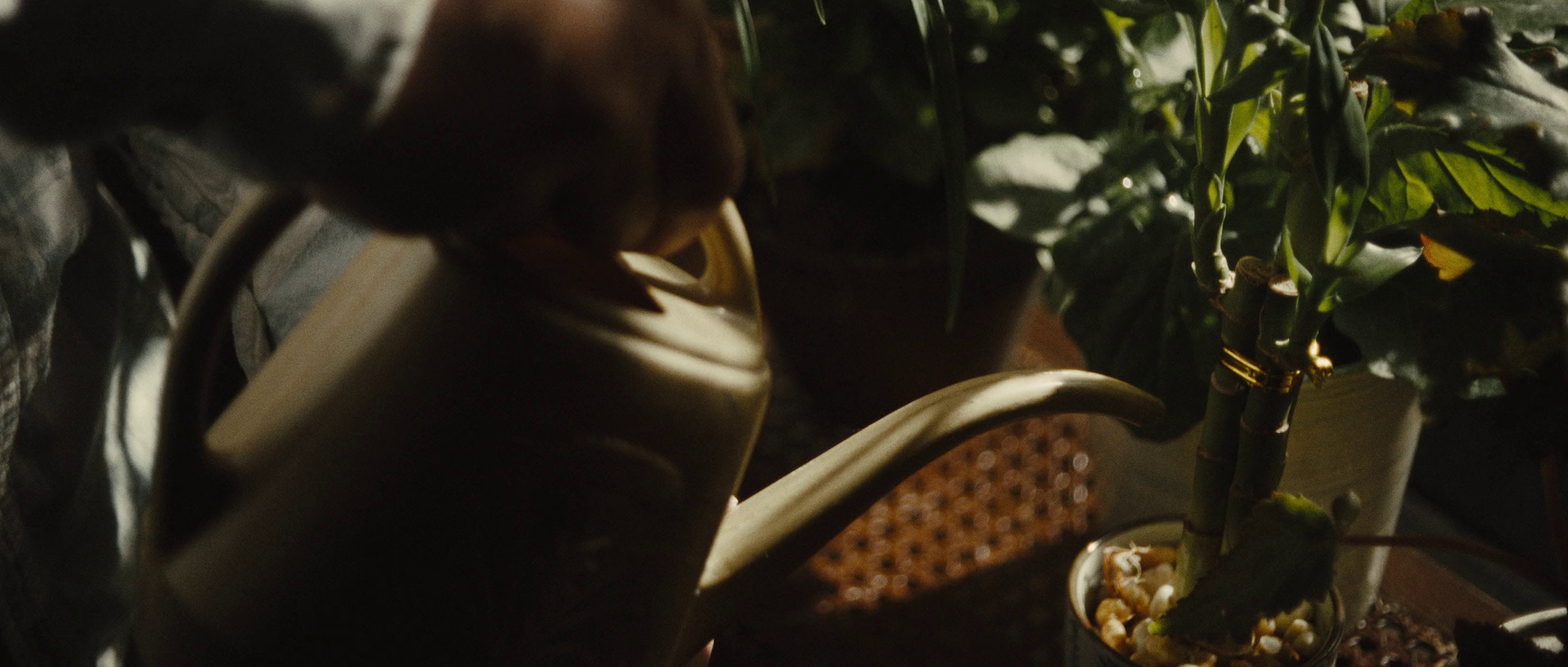 CBN PSA - Financial Exploitation (2024) —  shot,  lighting