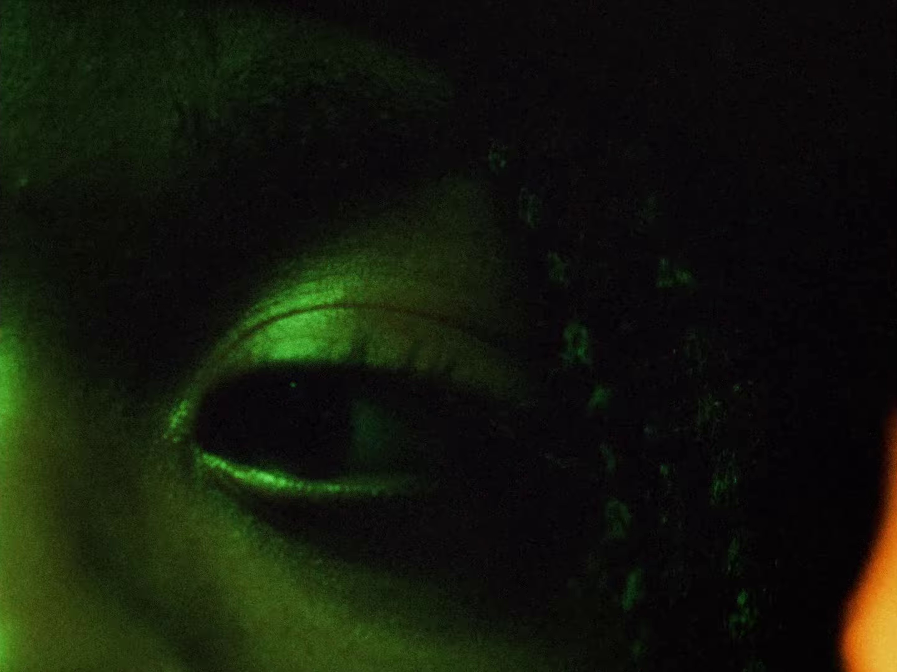 YEAH (2023) —  shot,  lighting