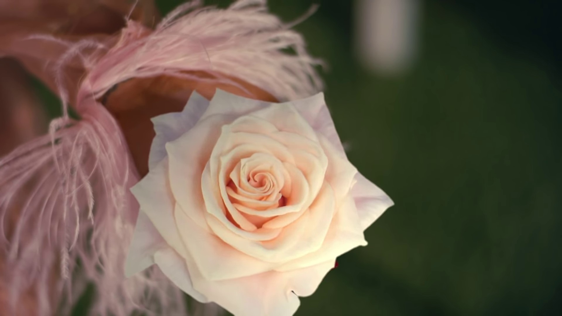 After The Storm  (2018) —  shot,  lighting