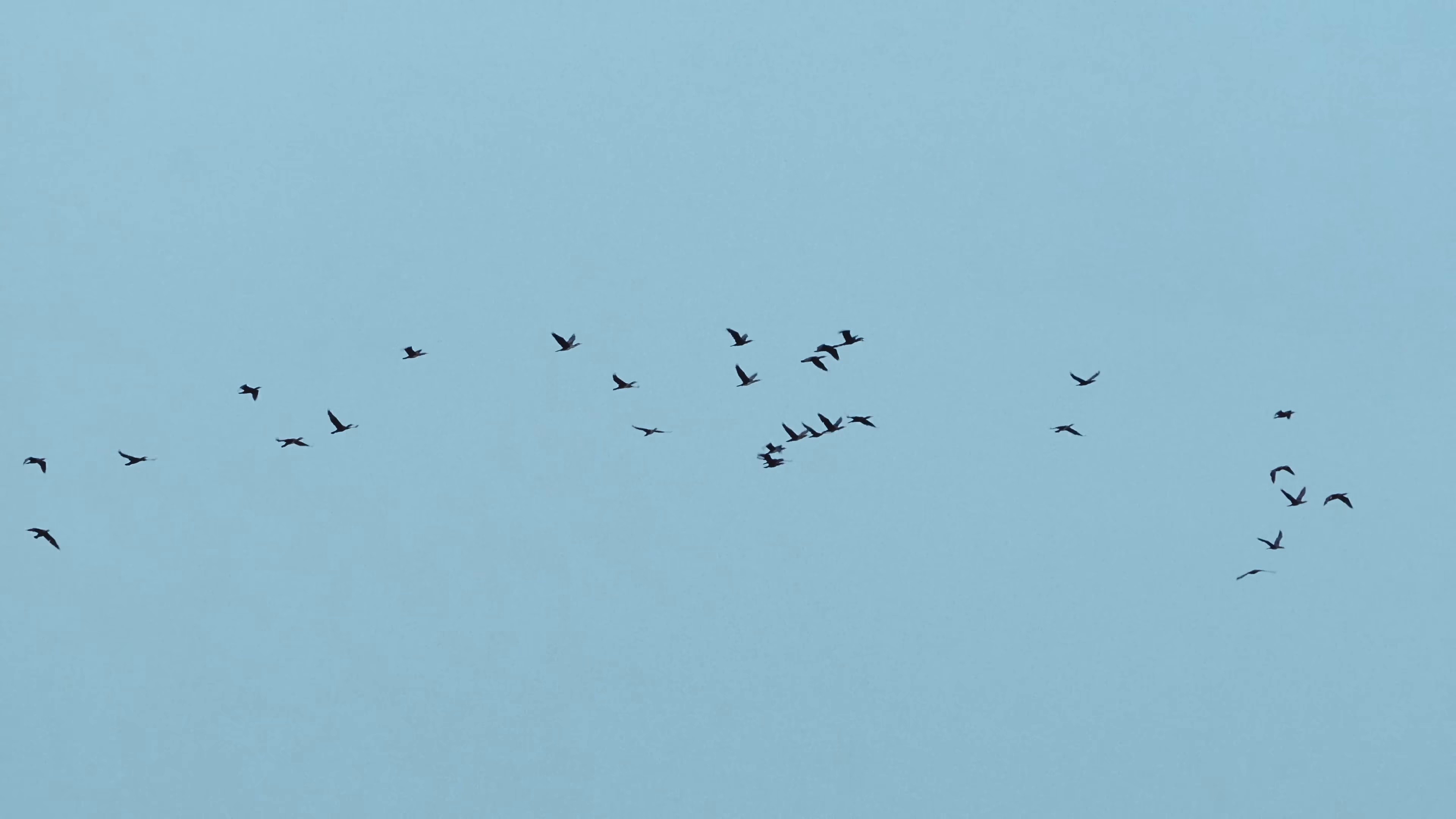 Panic (2025) —  shot,  lighting