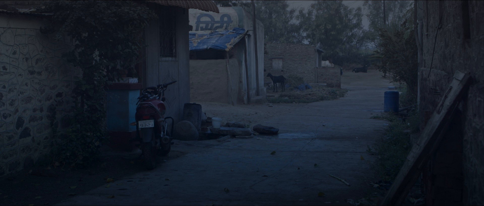 The Quest (2017) —  shot,  lighting