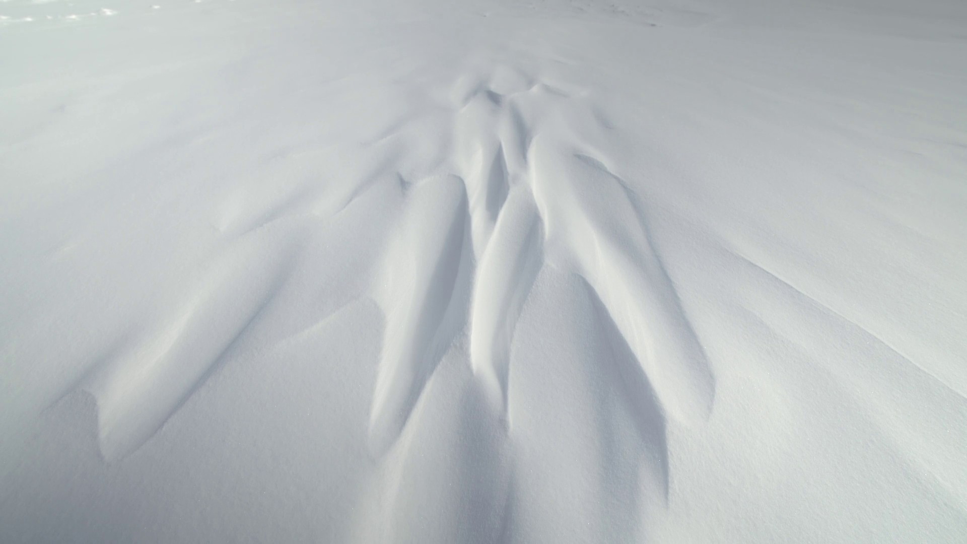 Utuqaq (2021) —  shot,  lighting