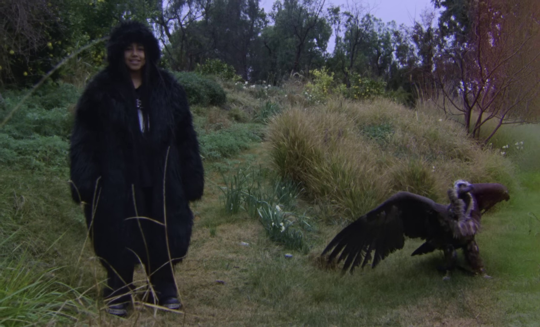 TALKING (2024) —  shot,  lighting