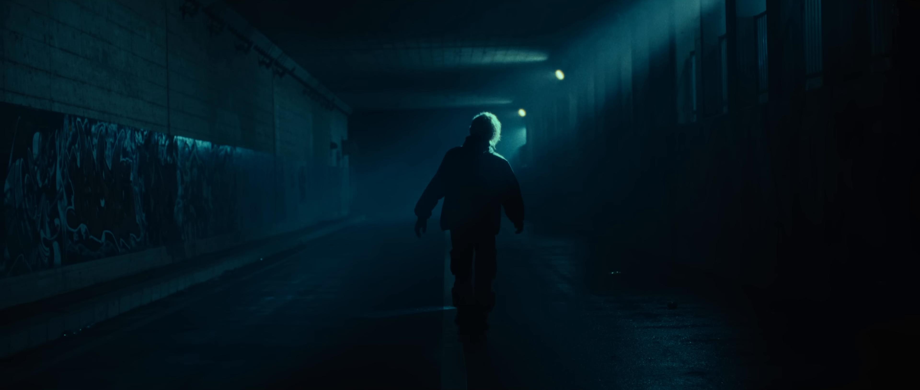 Dried Flower (2024) —  shot,  lighting