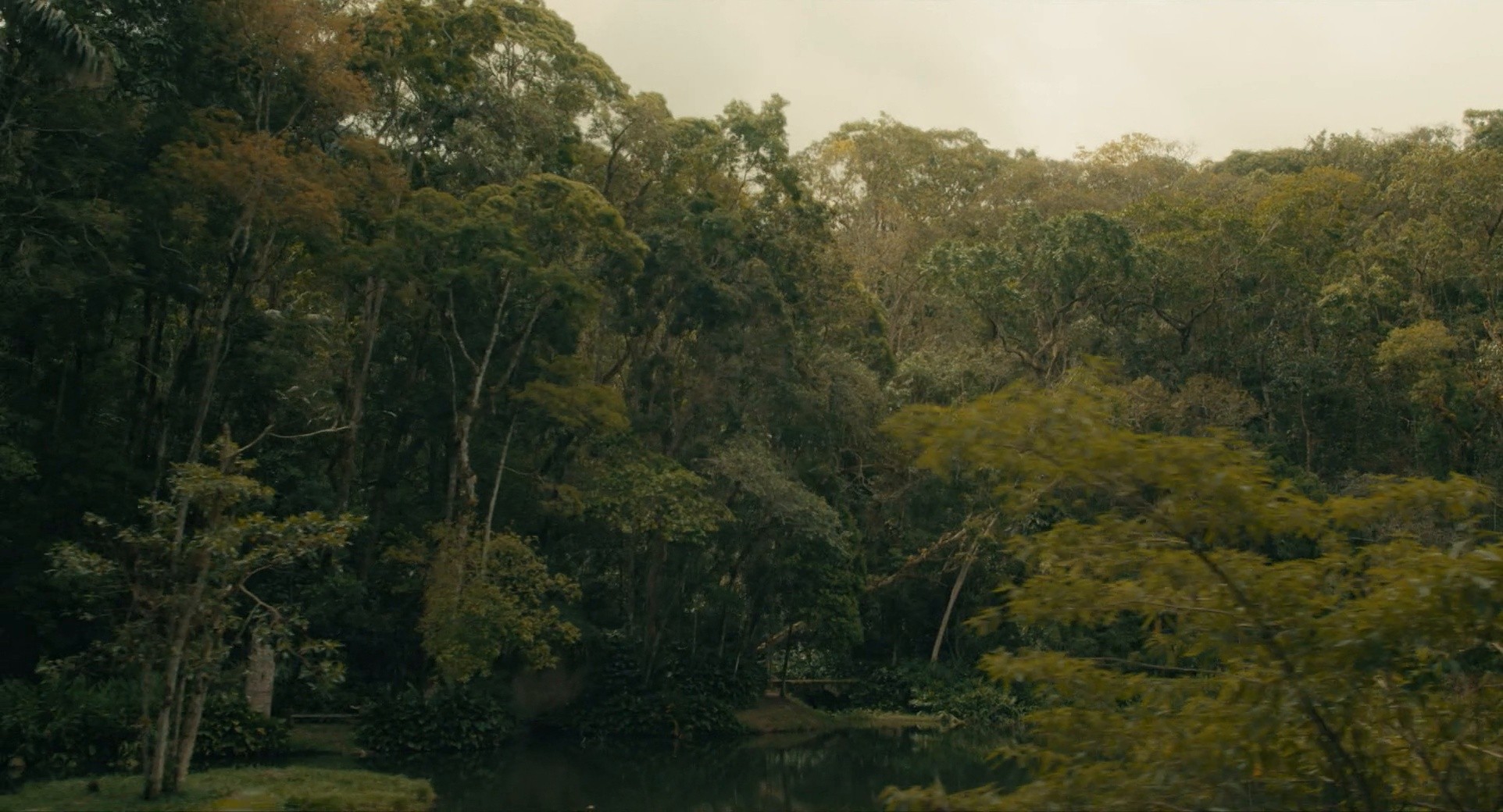 Birthright (2024) —  shot,  lighting