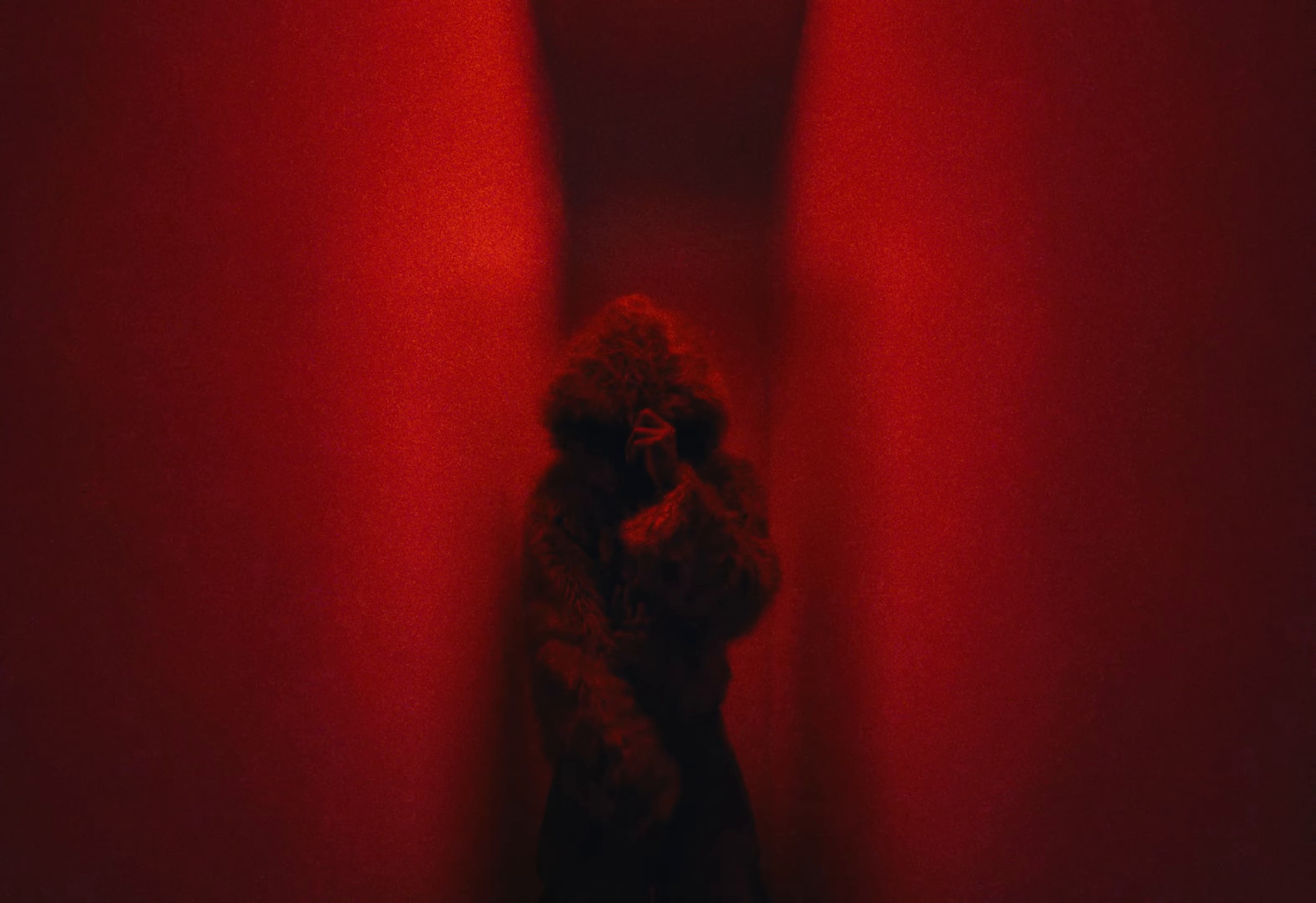 Sincère (2025) —  shot,  lighting