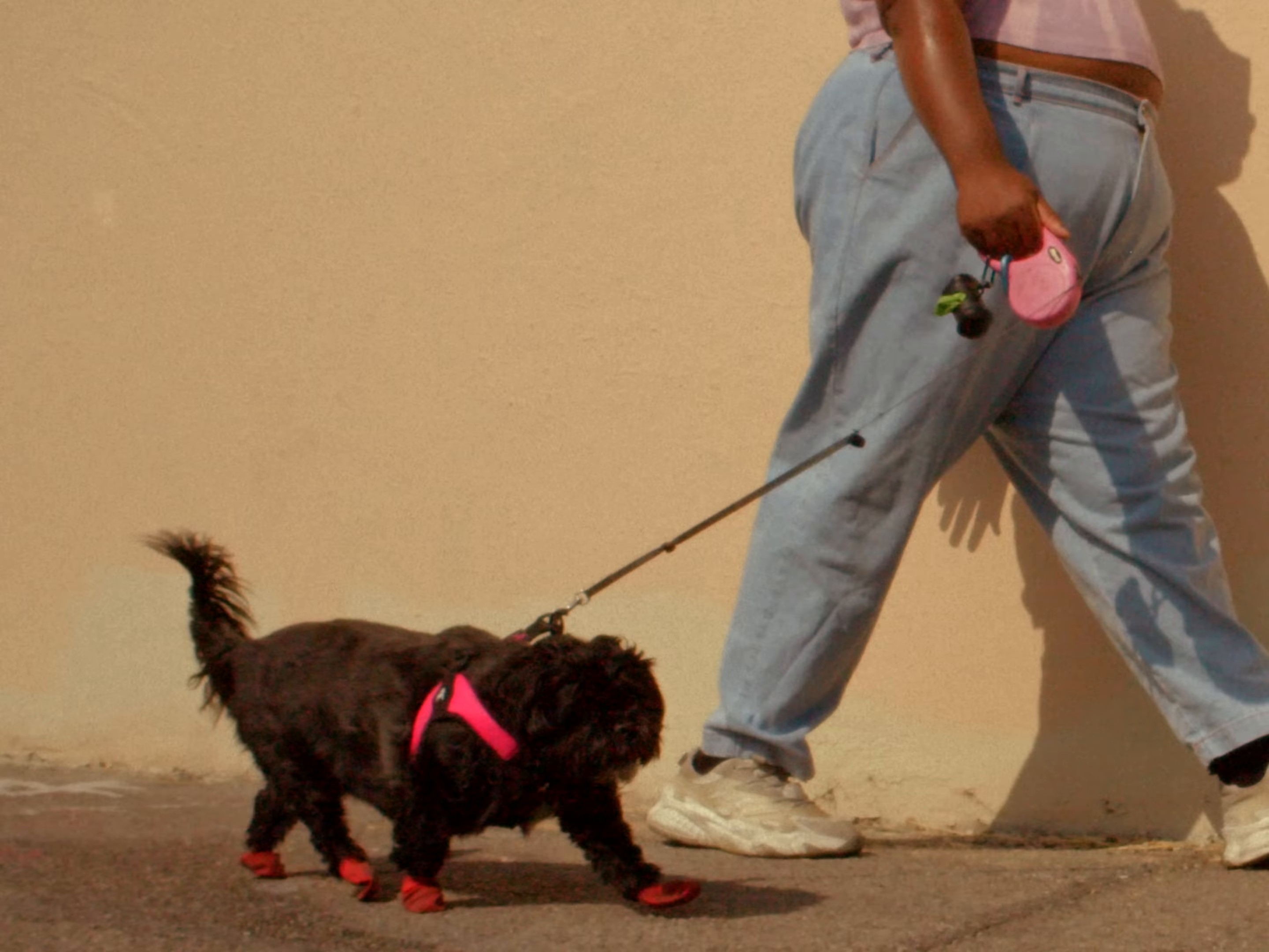 HEATWAVE (2024) —  shot,  lighting