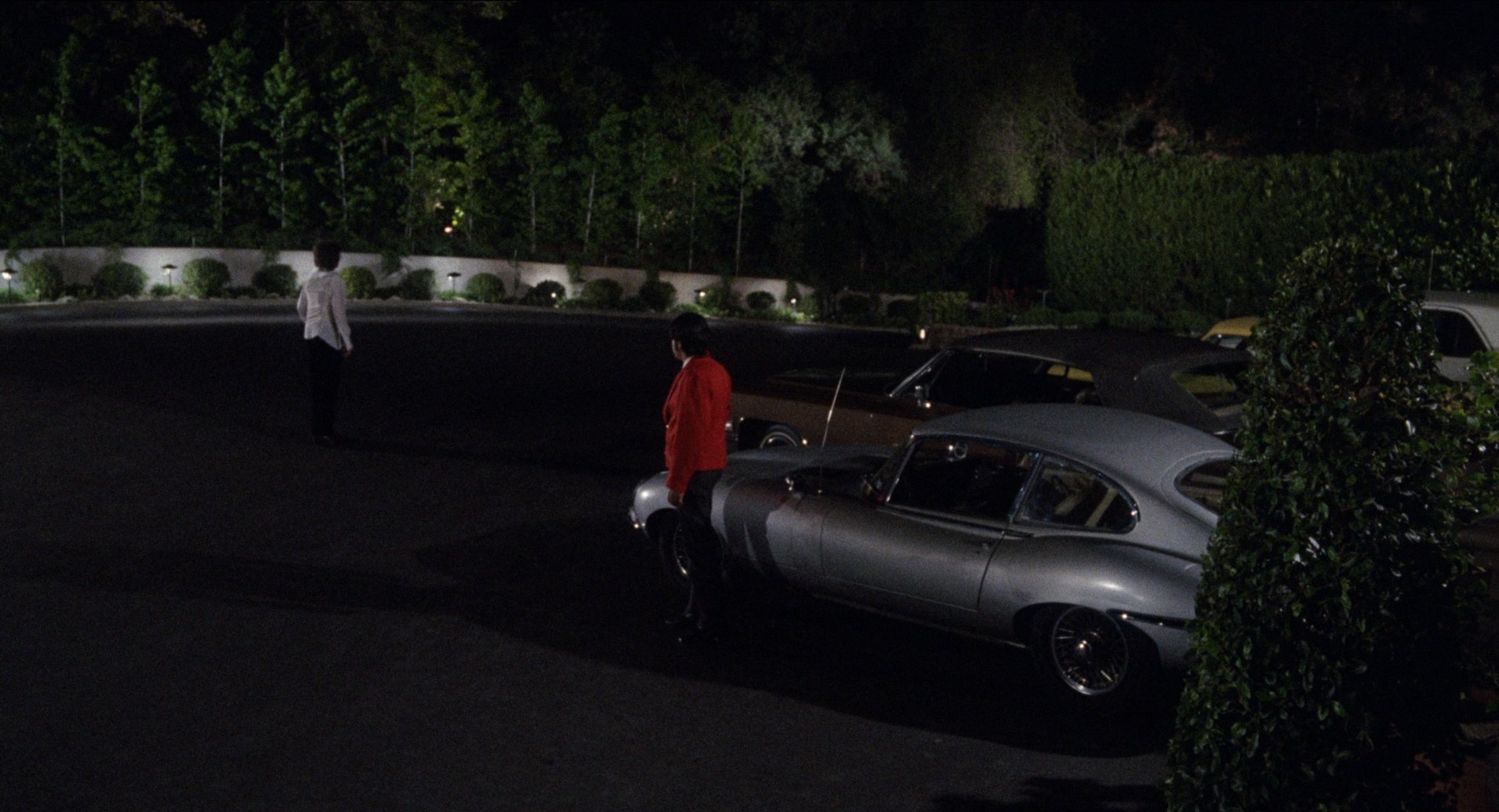 Shampoo (1975) —  shot,  lighting