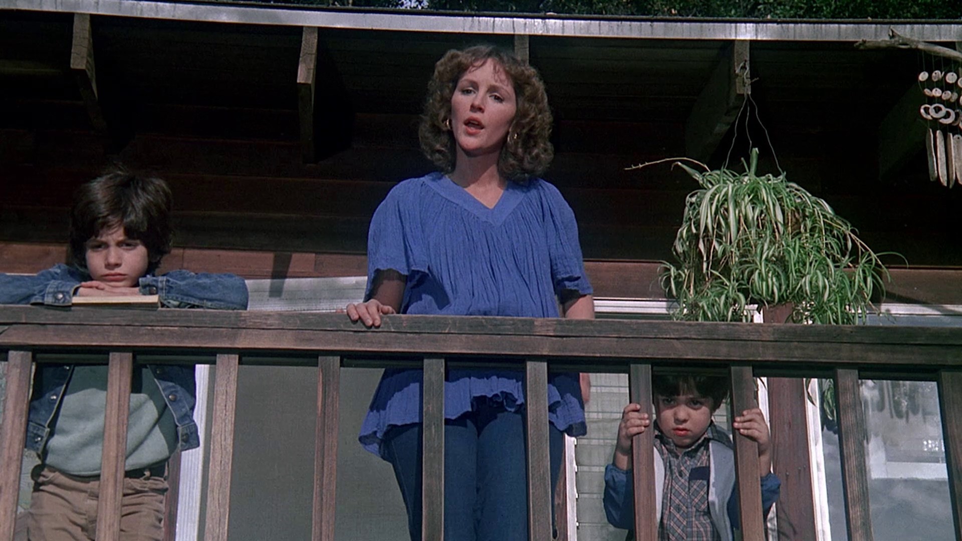 The Big Fix (1978) —  shot,  lighting