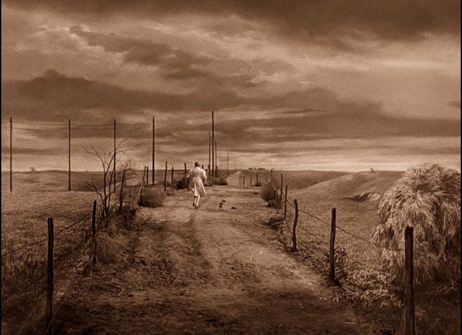 The Wizard of Oz (1939) —  shot,  lighting