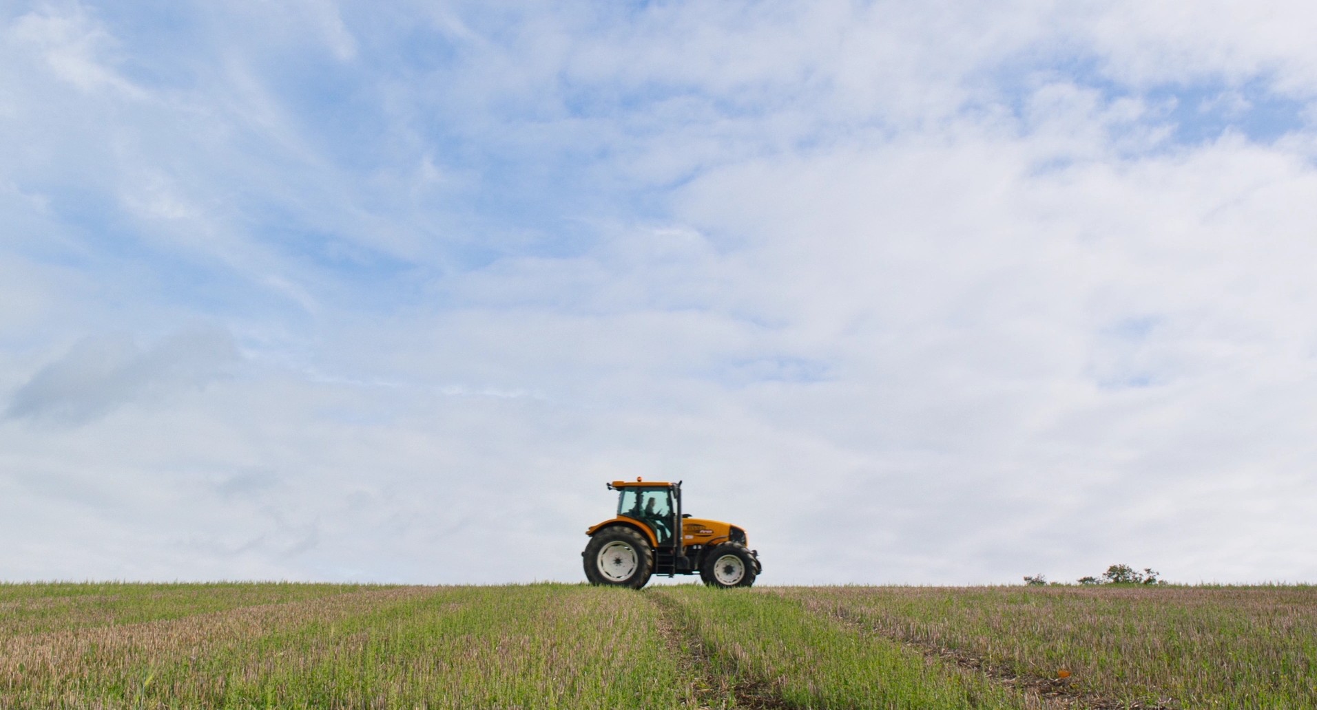 The Bélier Family (2014) —  shot,  lighting