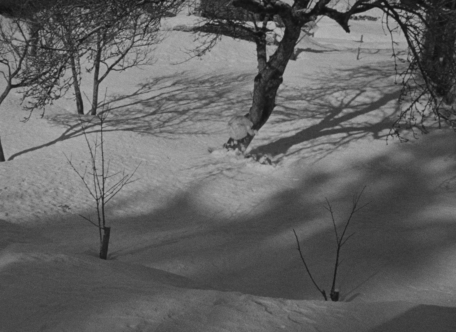 Who Killed Santa Claus? (1941) —  shot,  lighting