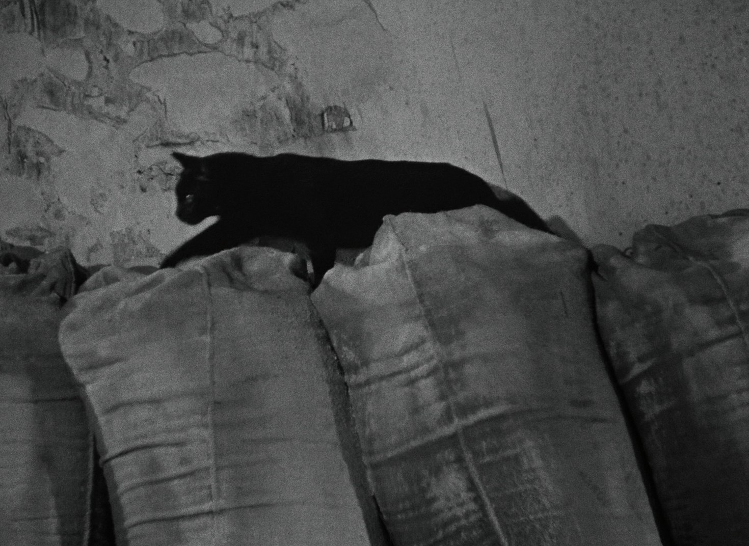 The Baker's Wife (1938) —  shot,  lighting