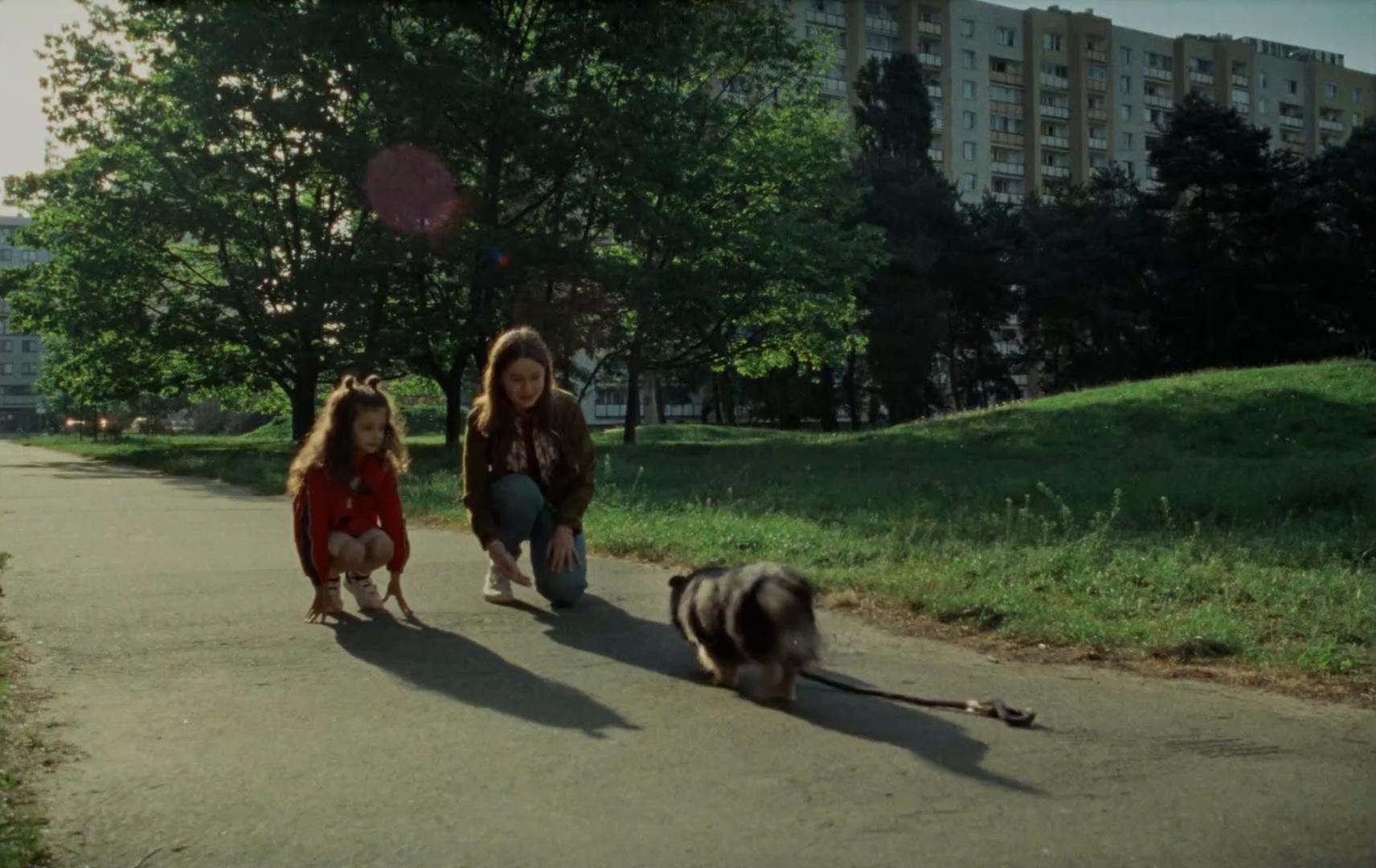 Nie porzucaj x TOZ (2024) —  shot,  lighting