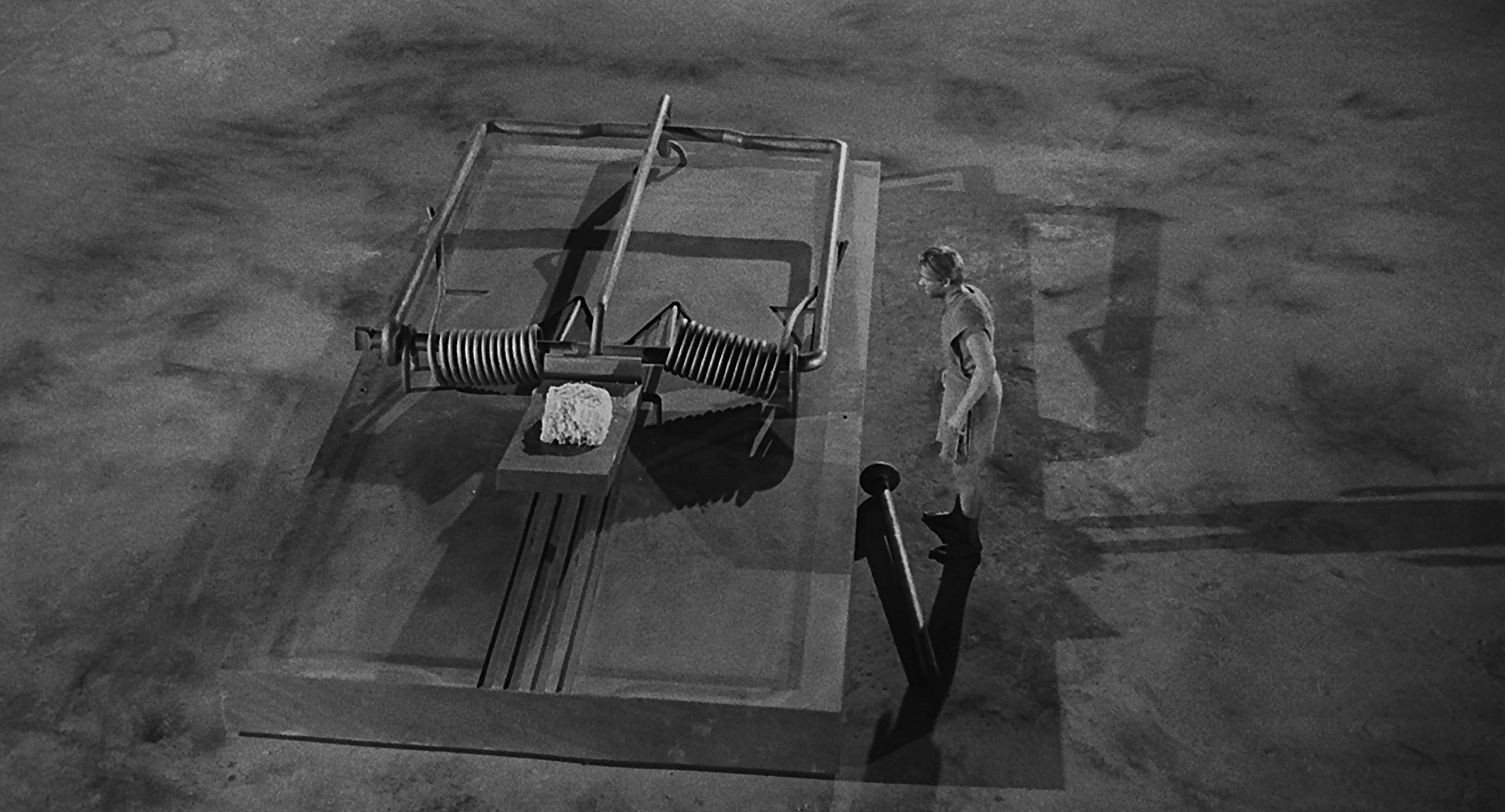 The Incredible Shrinking Man (1957) —  shot,  lighting