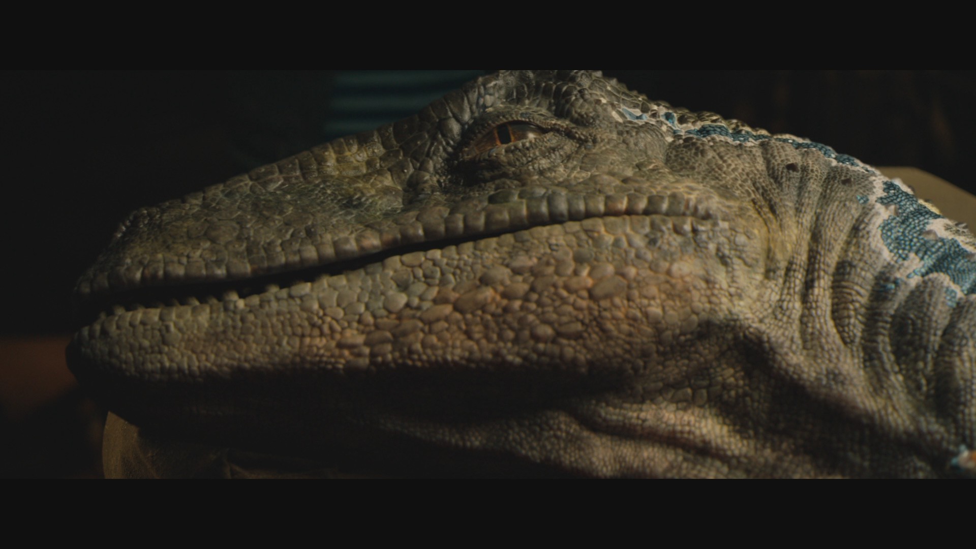 Jurassic World: Fallen Kingdom (2018) —  shot,  lighting