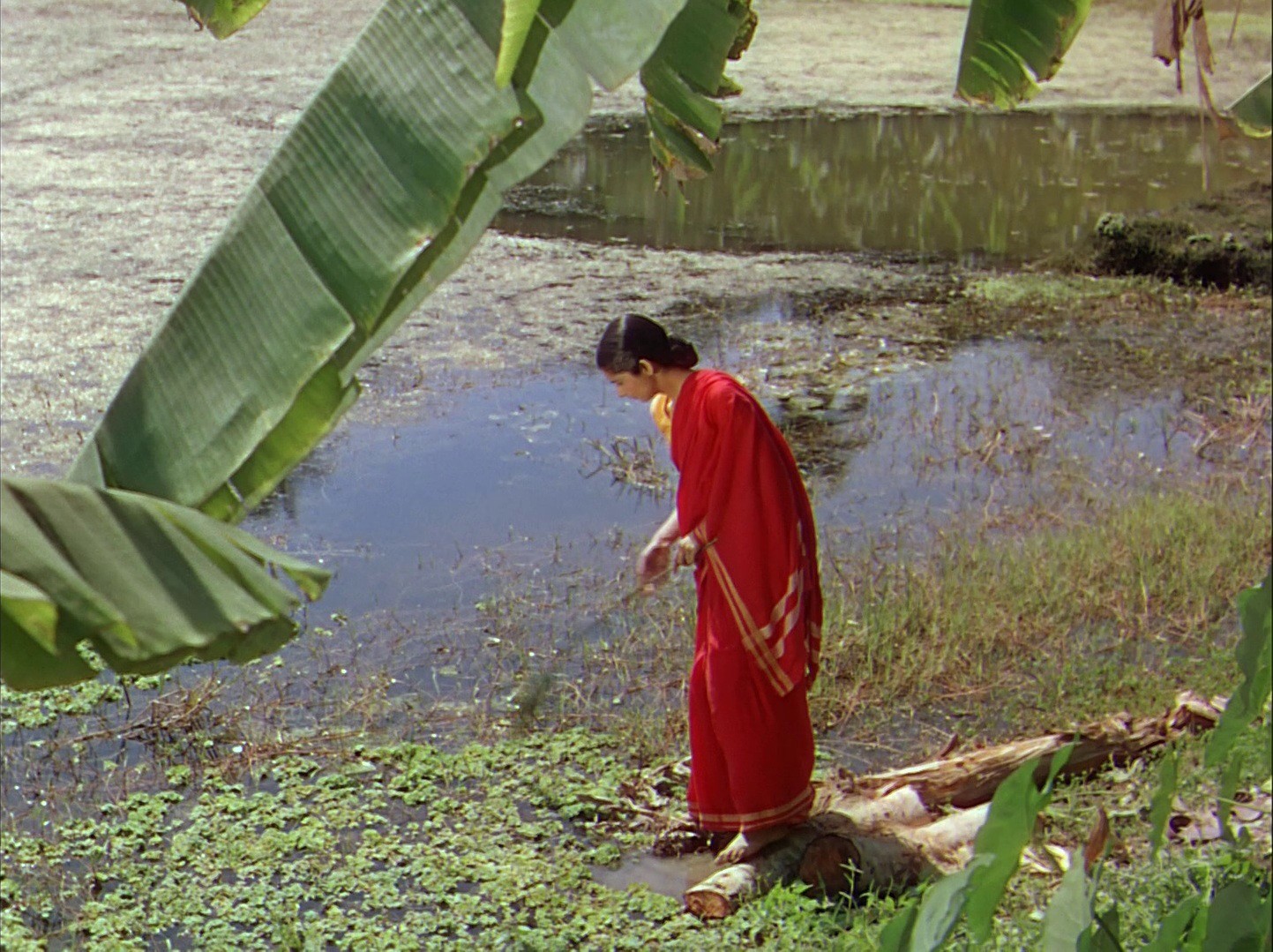 The River (1951) —  shot,  lighting