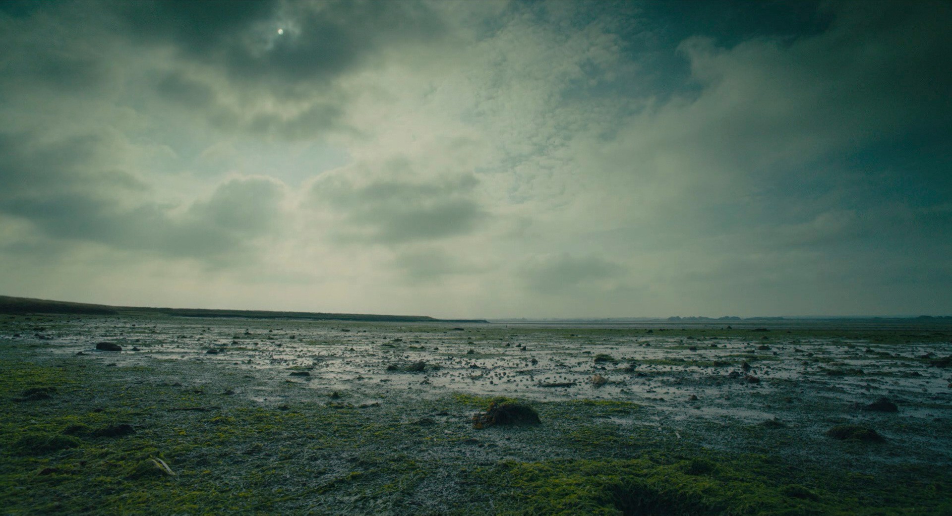 The Danish Girl (2015) —  shot,  lighting