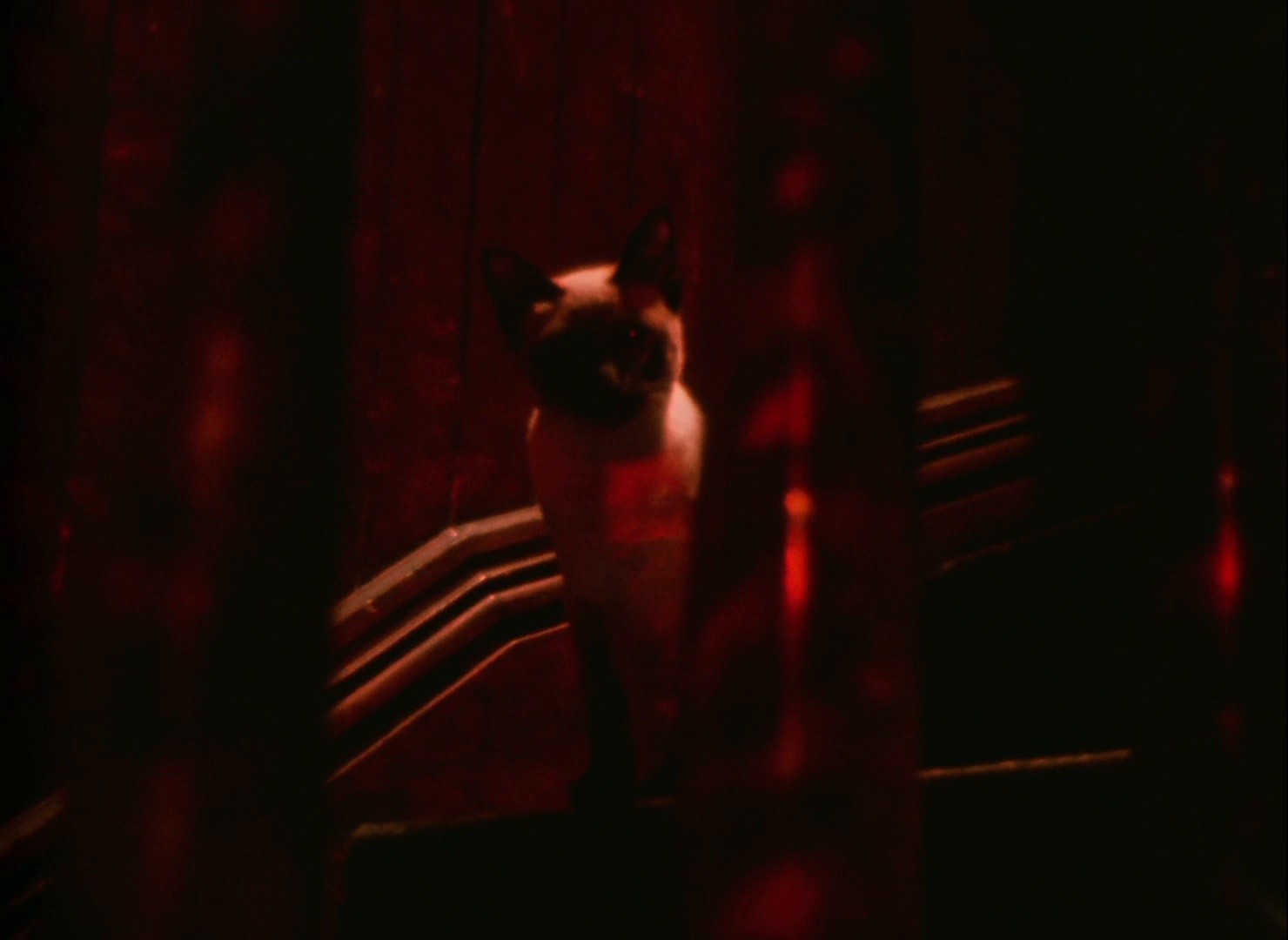 Invocation of My Demon Brother (1969) —  shot,  lighting