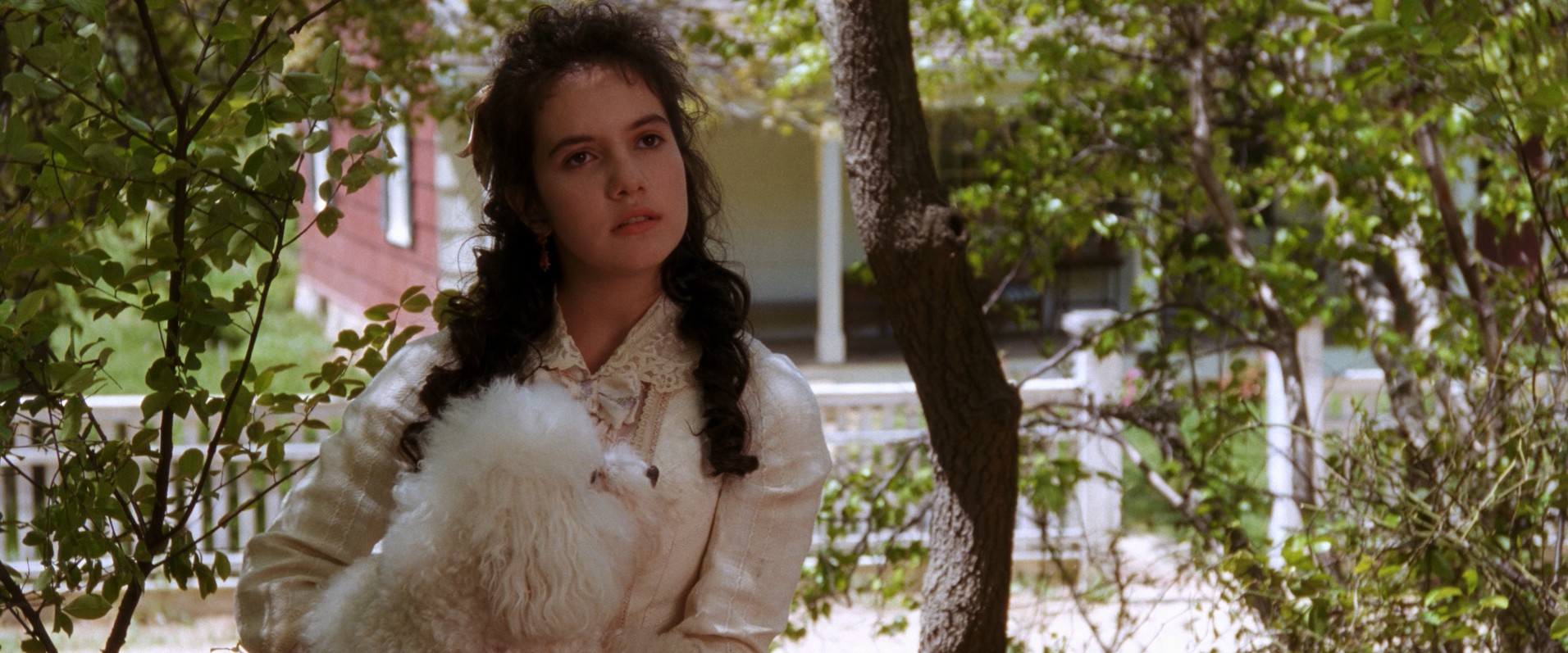 The Age of Innocence (1993) —  shot,  lighting