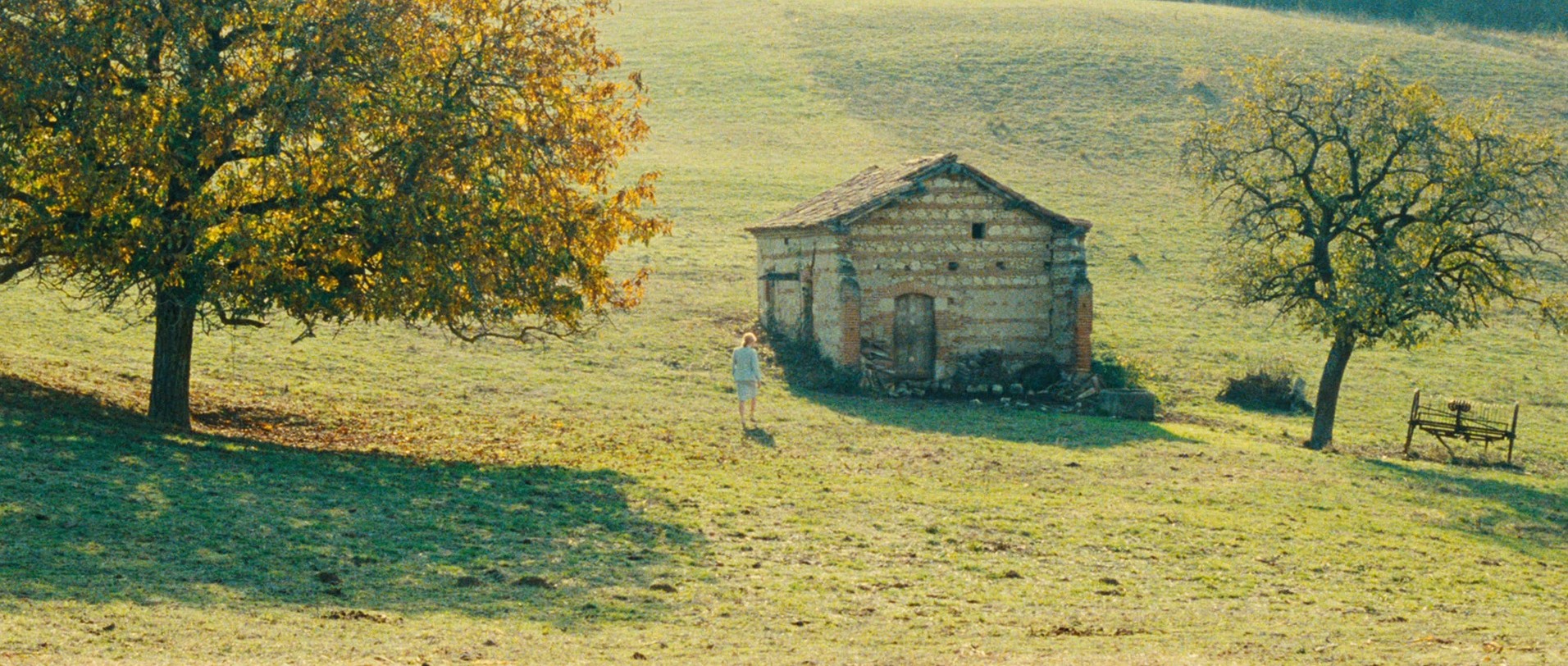 Scene of the Crime (1986) —  shot,  lighting