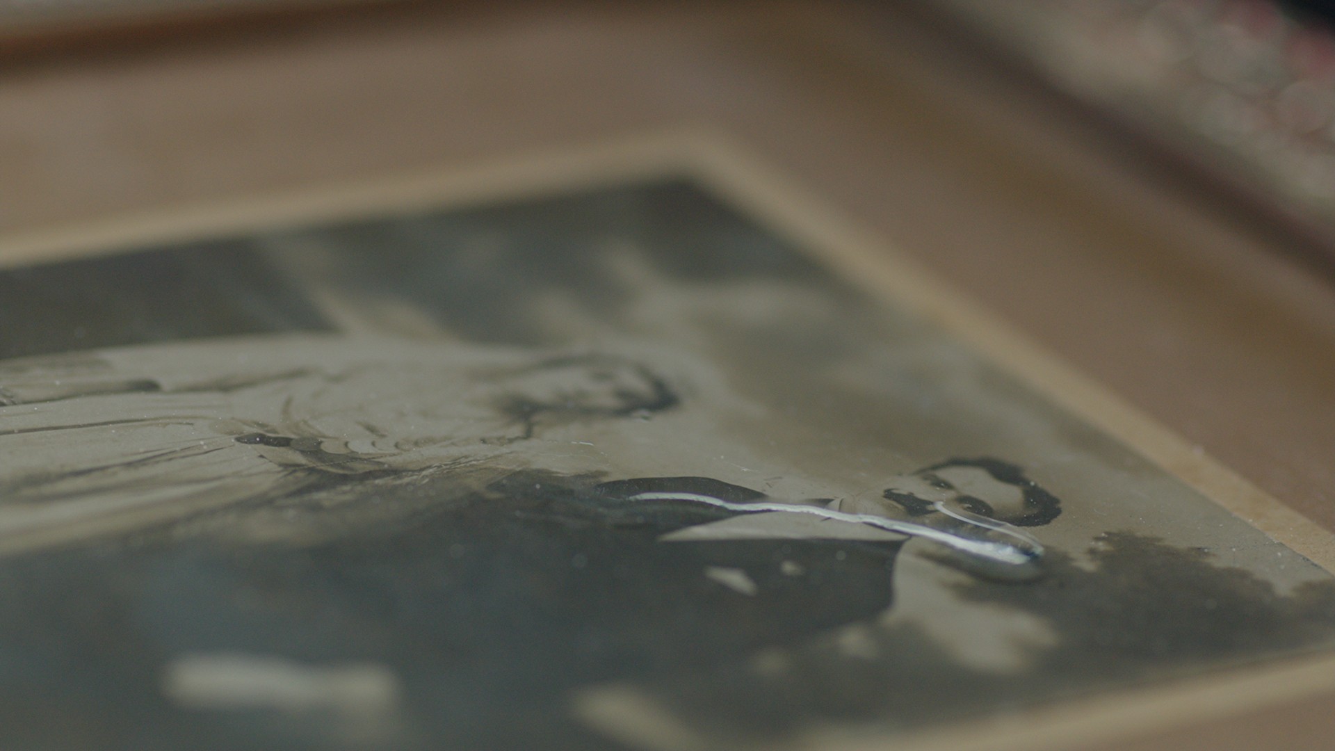 Lost Birds (2015) —  shot,  lighting