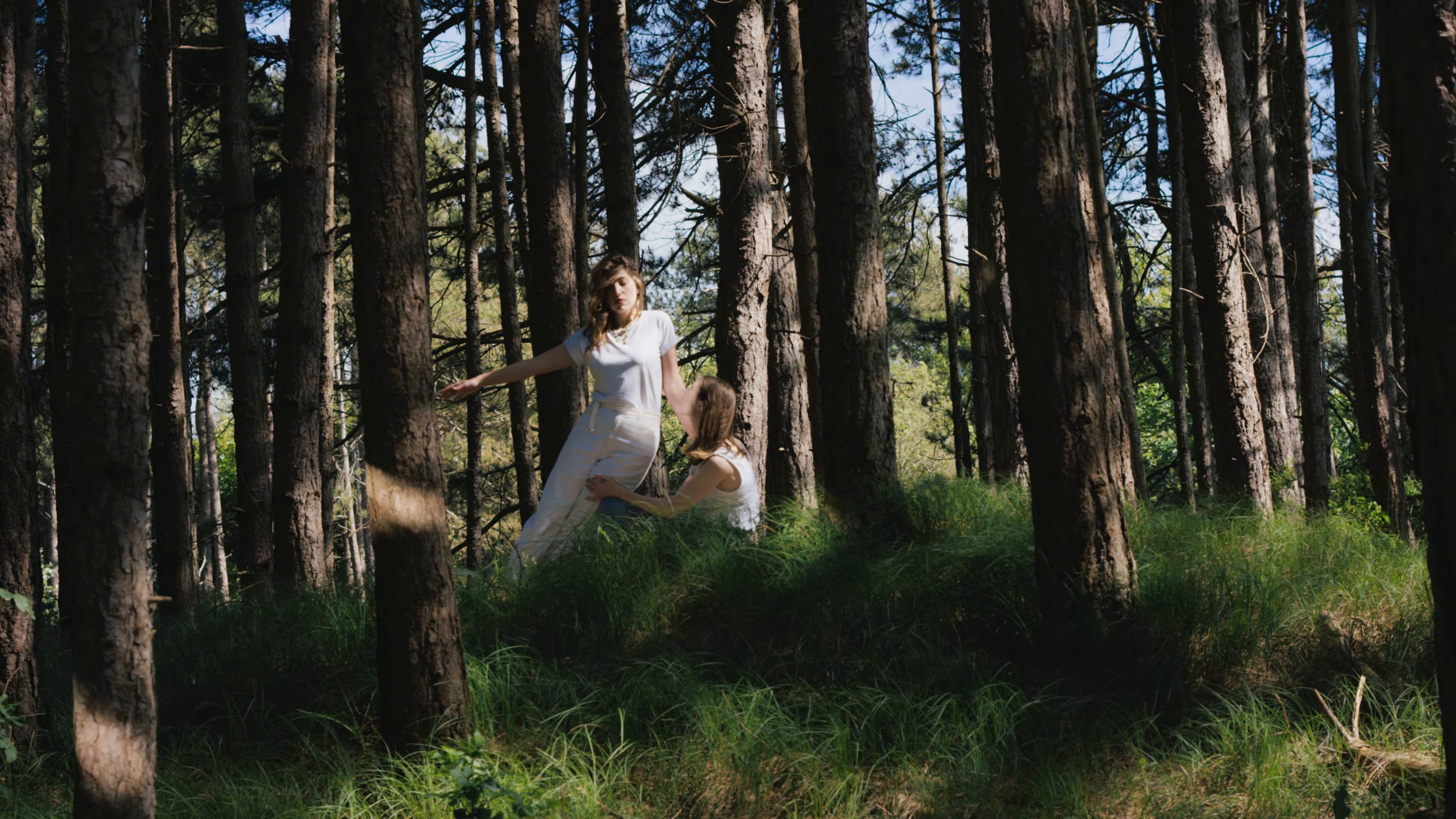 Mon épaule (2024) —  shot,  lighting