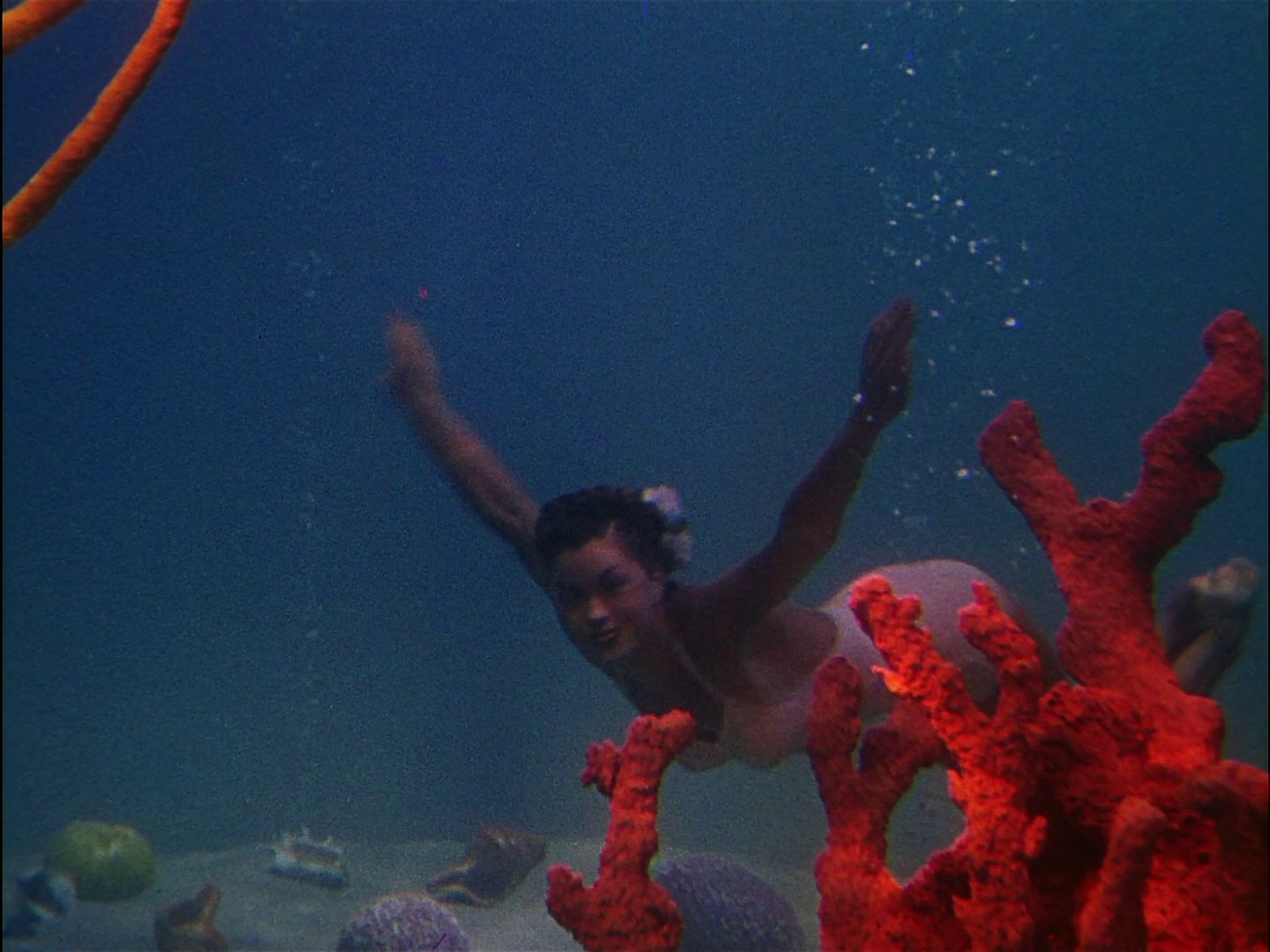 Ziegfeld Follies (1946) —  shot,  lighting