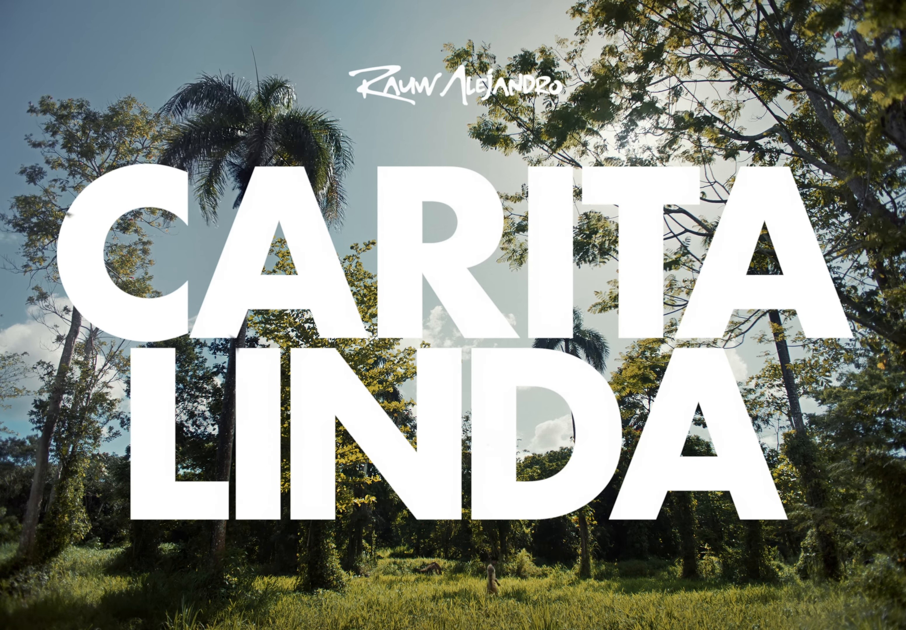 Carita Linda (2025) —  shot,  lighting