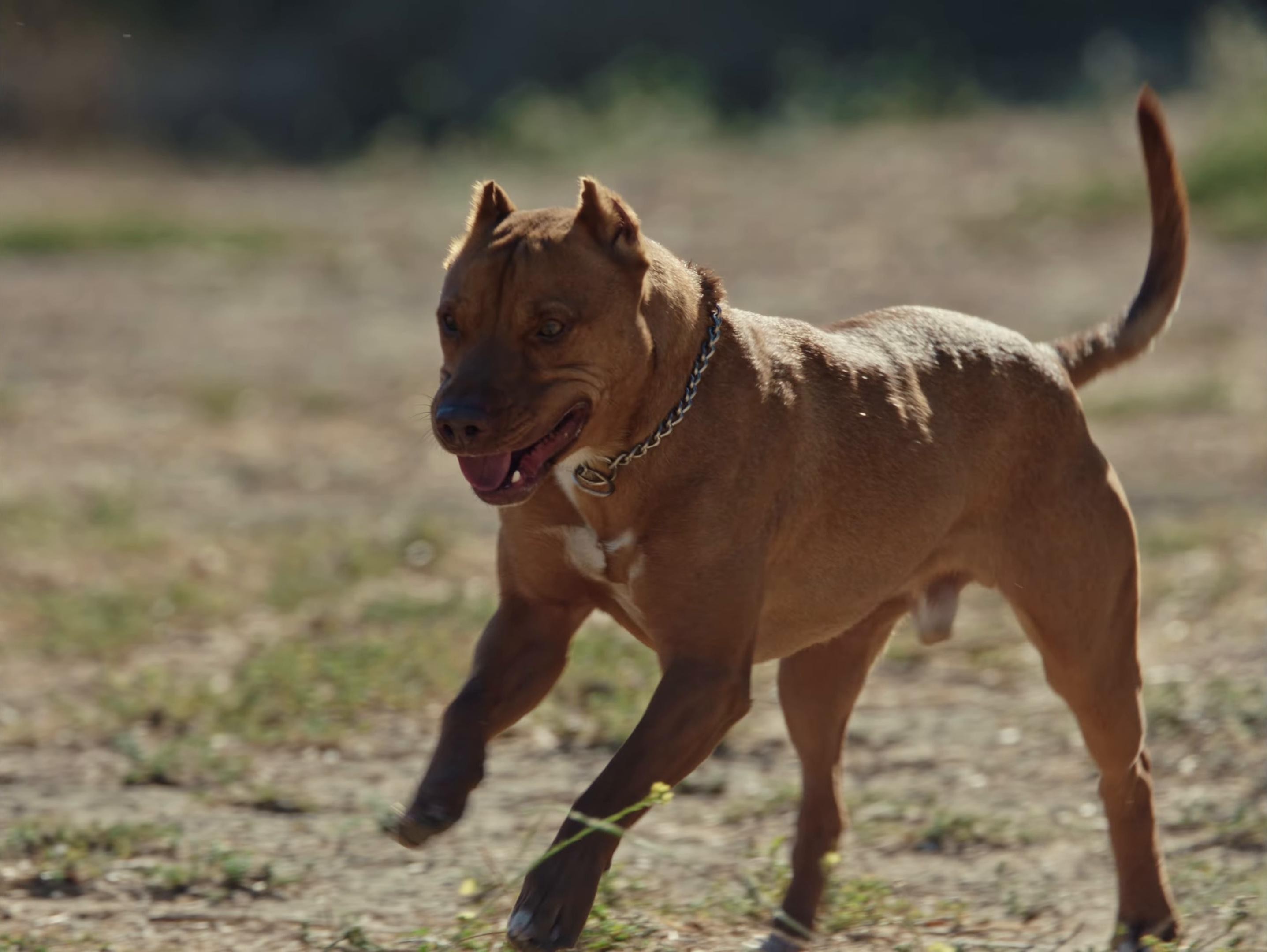 T&A (2025) —  shot,  lighting