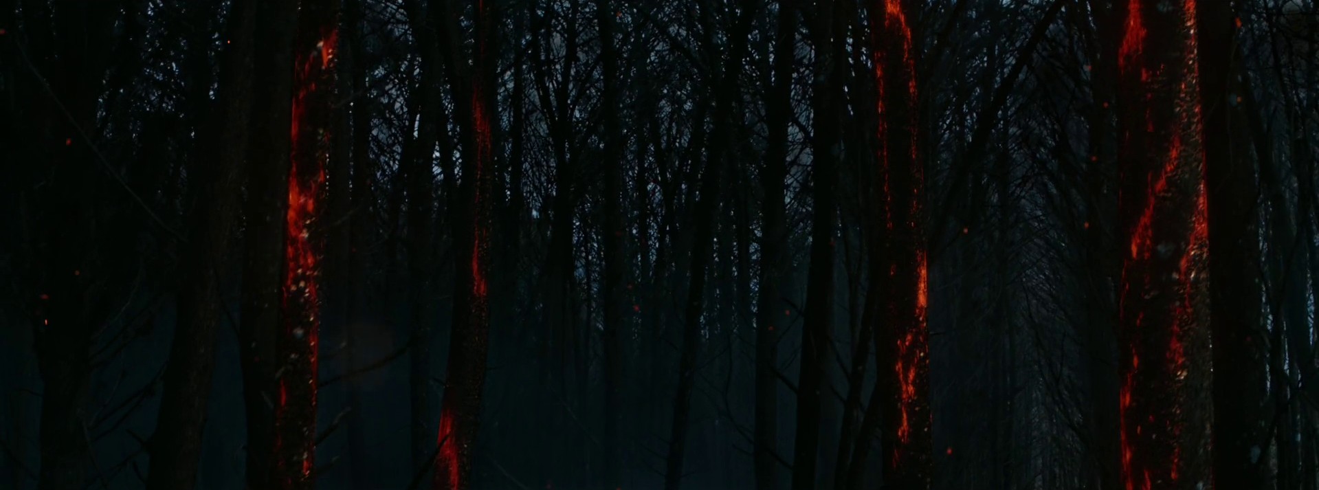 Calendário (2020) —  shot,  lighting