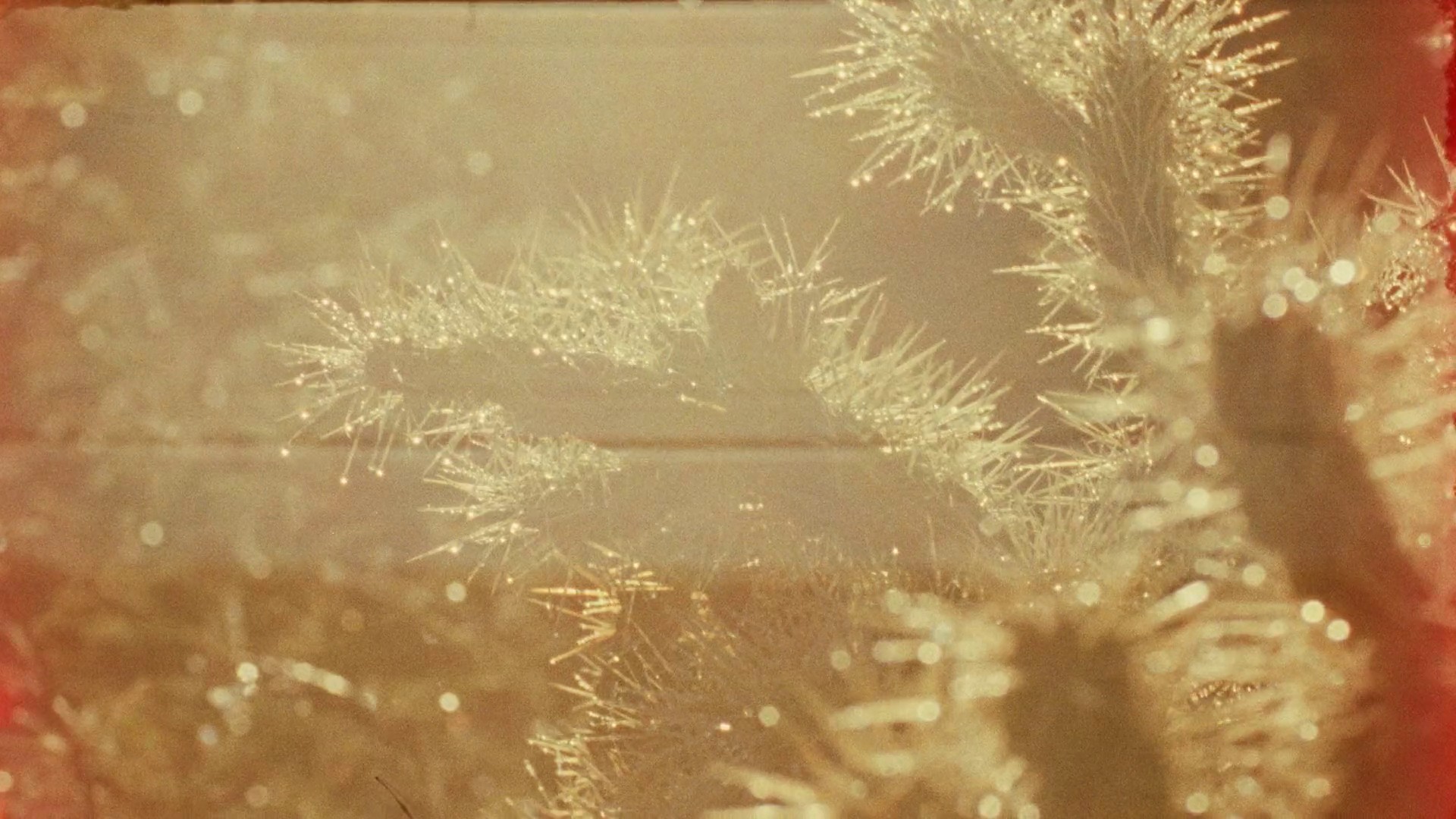 Carhartt - "Soft These Days" :30 (2024) —  shot,  lighting