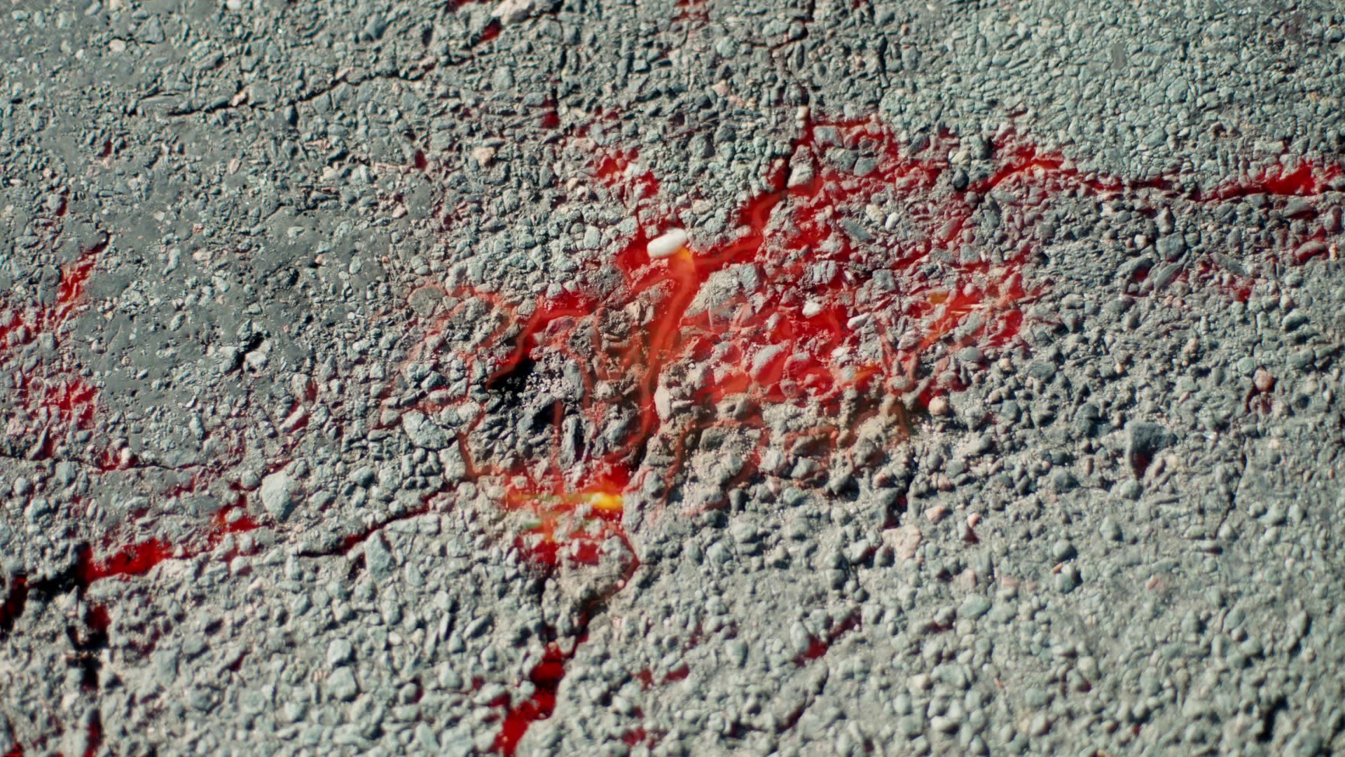 Brutal Heat (2023) —  shot,  lighting